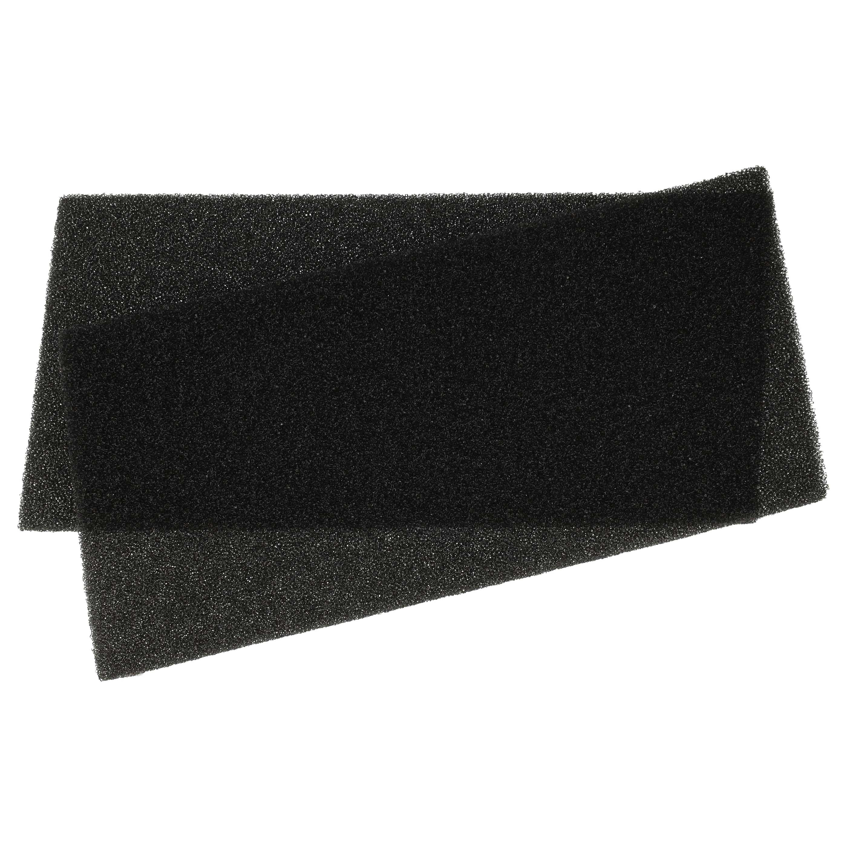Zwei schwarze Schaumstofffilter liegen übereinander auf weißem Hintergrund.