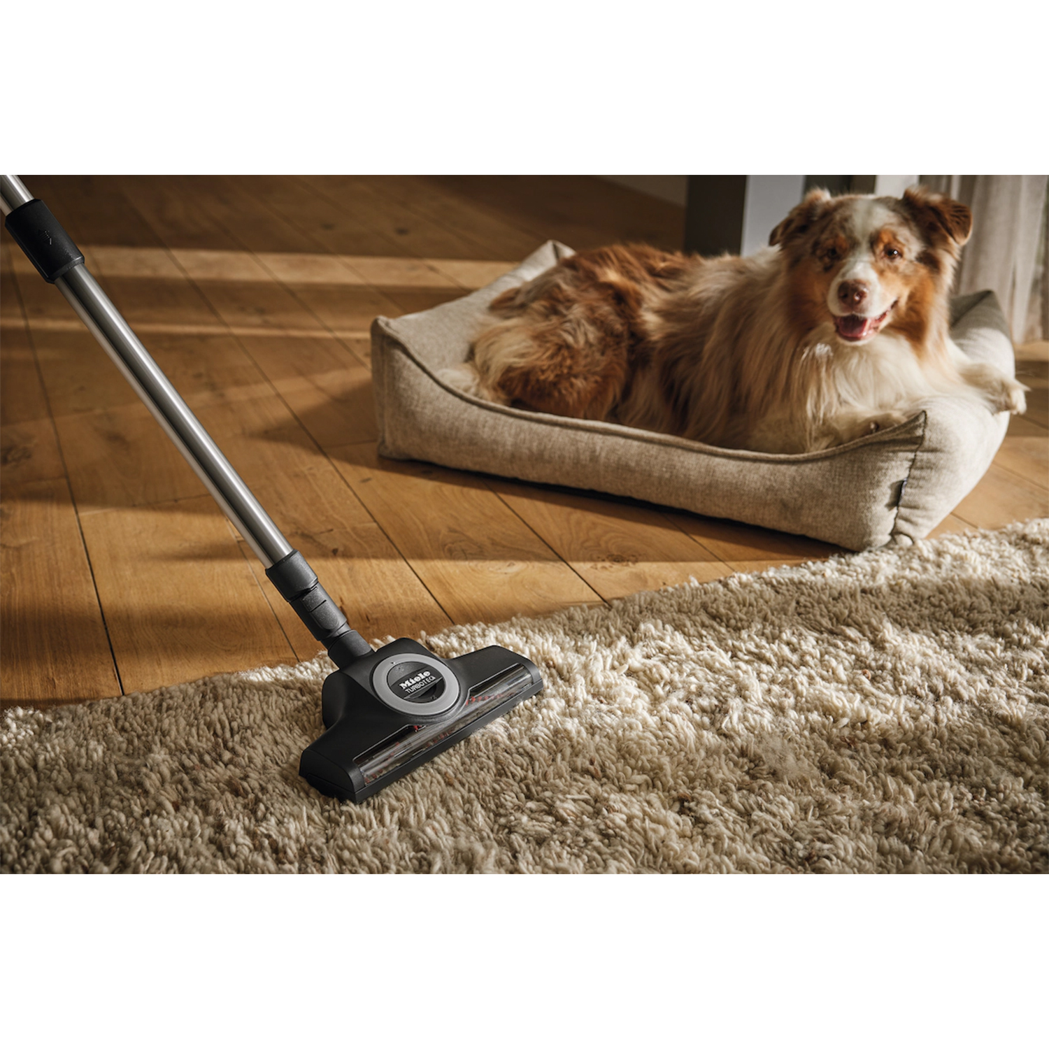 Odkurzacz czyści dywan, podczas gdy pies odpoczywa w swoim legowisku.