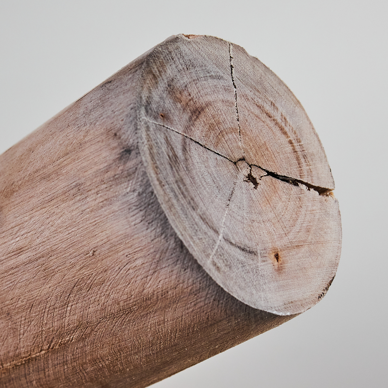 Ein Holzstamm mit Rissen und Jahresringen, auf hellem Hintergrund.