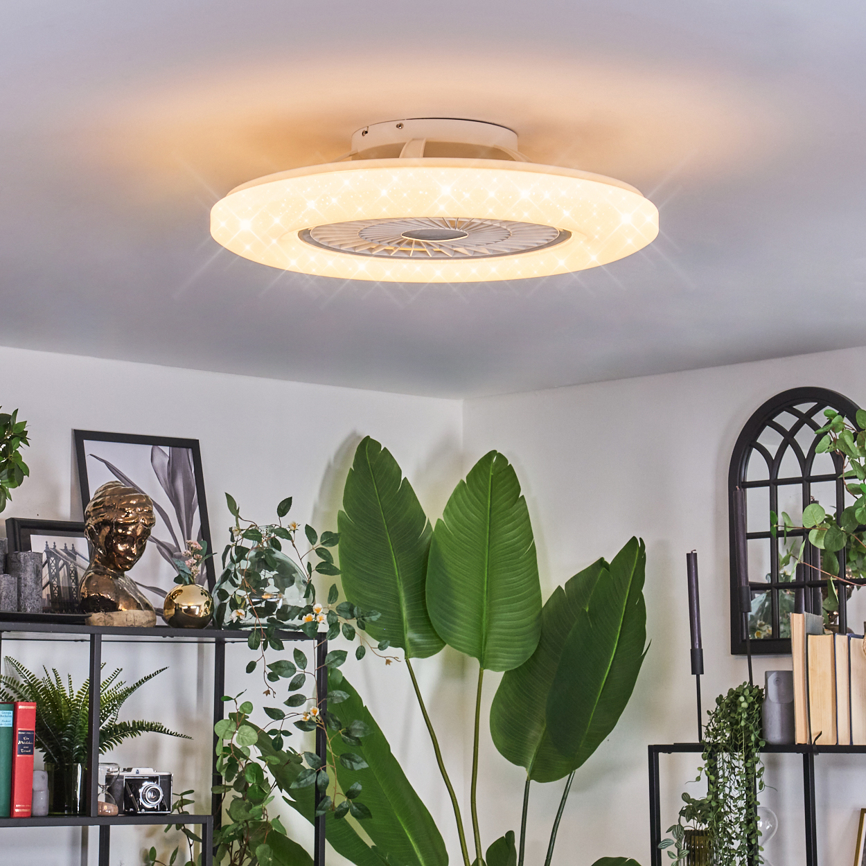 Eine Deckenleuchte mit Ventilator und Lichtern über Pflanzen und Regalen.