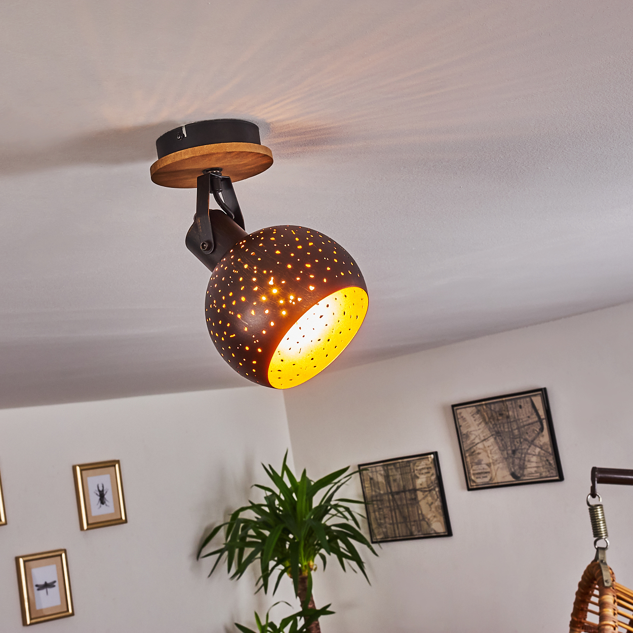 Eine braune Lampe mit Lochmuster beleuchtet die Decke. Bilder und Pflanze im Hintergrund.