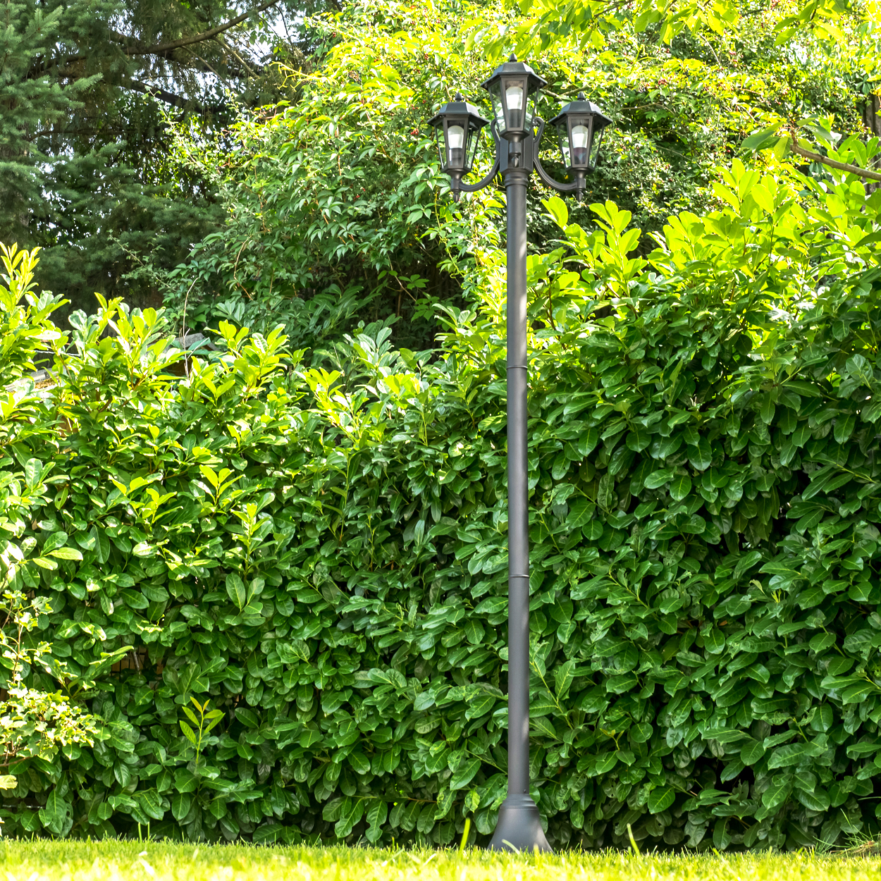 Ein dunkler Laternenpfahl mit drei Lichtern steht vor einer dichten grünen Hecke.