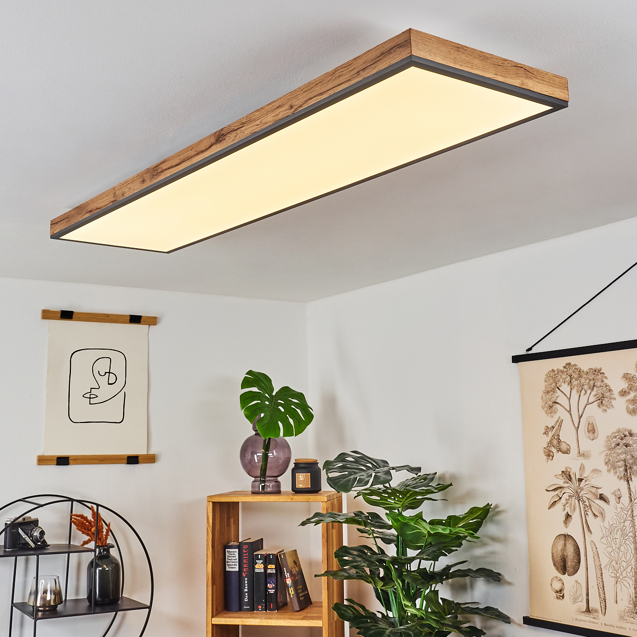 Eine rechteckige Deckenleuchte mit Holzrahmen und Beleuchtung über einem Regal mit Pflanzen.