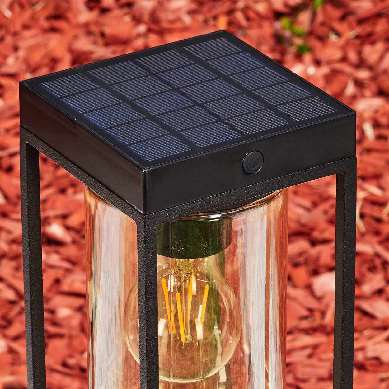 Ein Solarlicht mit Glaszylinder und Glühbirne, auf rotem Mulch.
