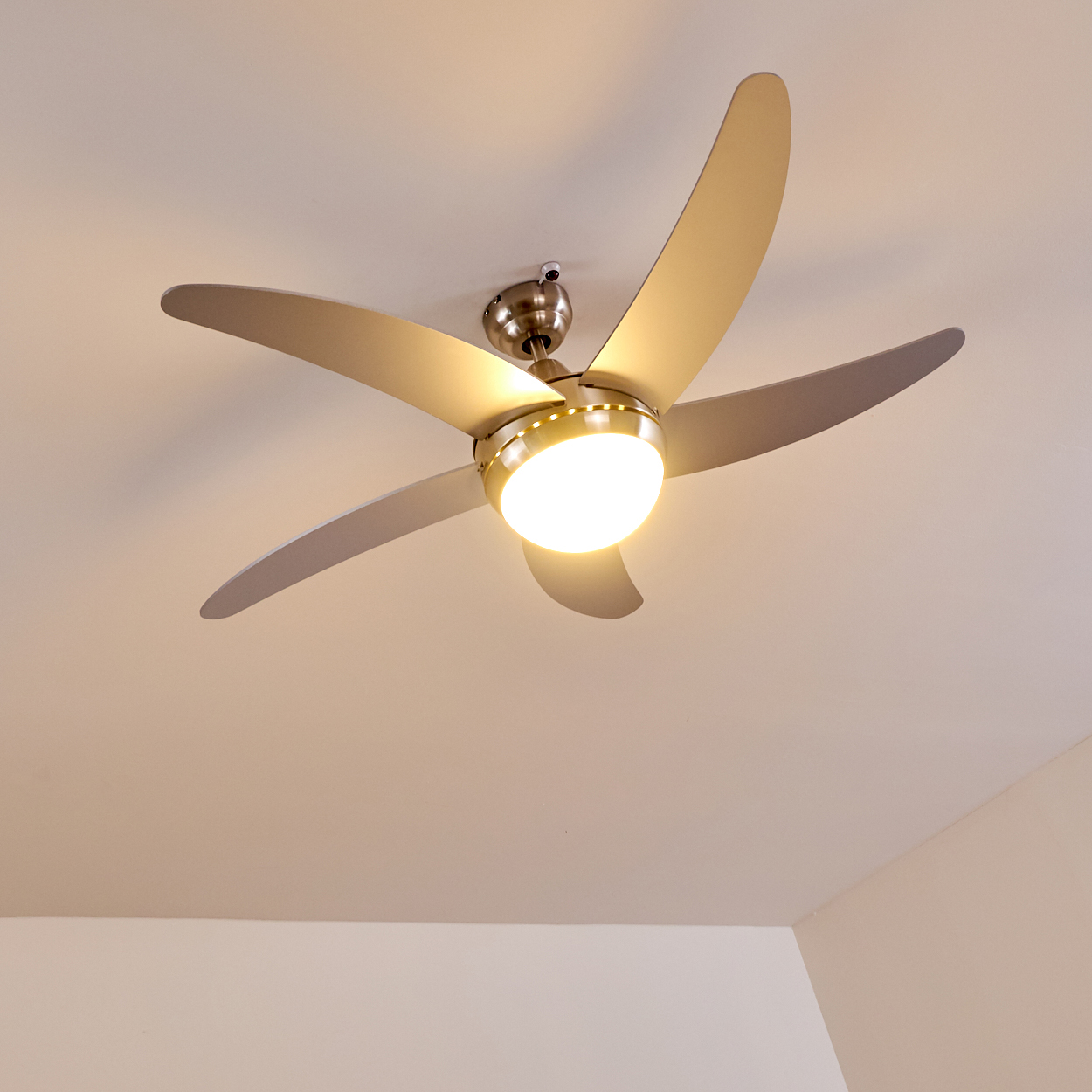 Ein moderner Deckenventilator mit Licht in der Mitte und fünf Schaufeln.
