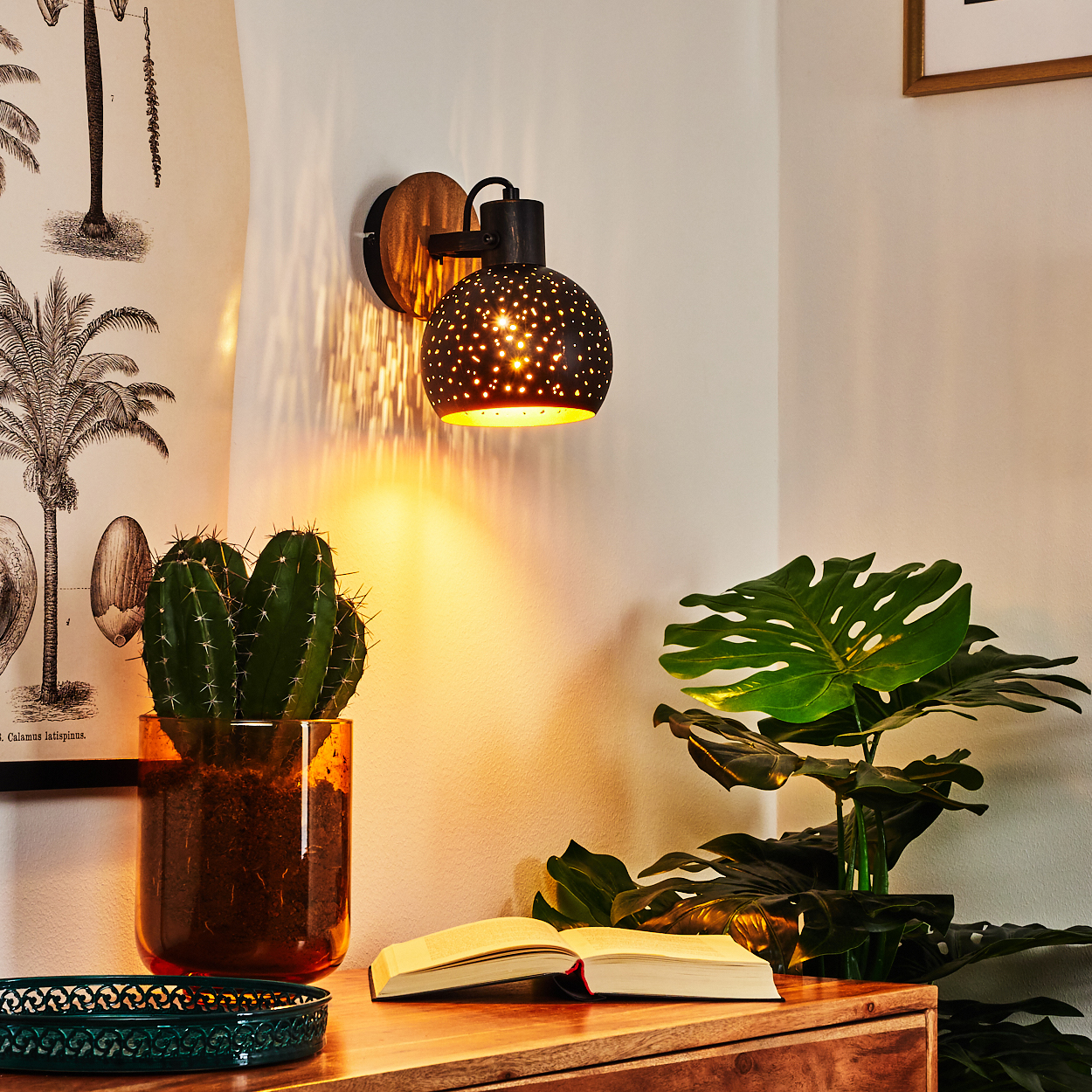 Eine Wandleuchte wirft Licht auf eine Kaktuspflanze, ein offenes Buch und eine Monstera.
