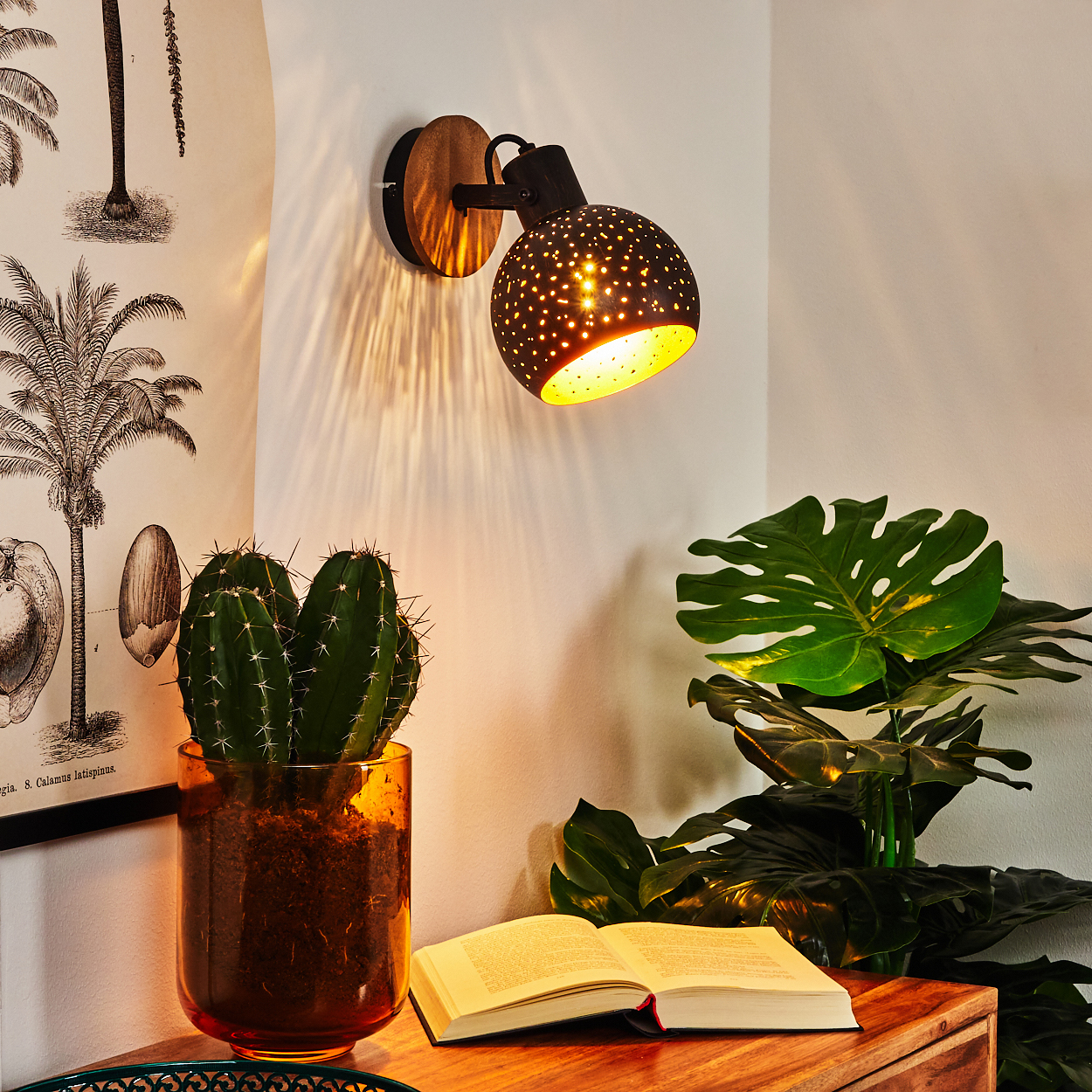 Eine schwarze Wandlampe mit gemustertem Schirm beleuchtet Kaktus, Buch und Pflanzen.