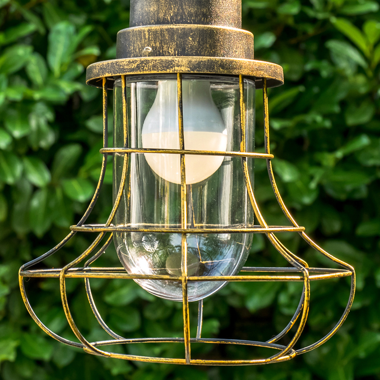 Eine goldene Laterne mit Glaskolben und Glühbirne vor grünem Laub.