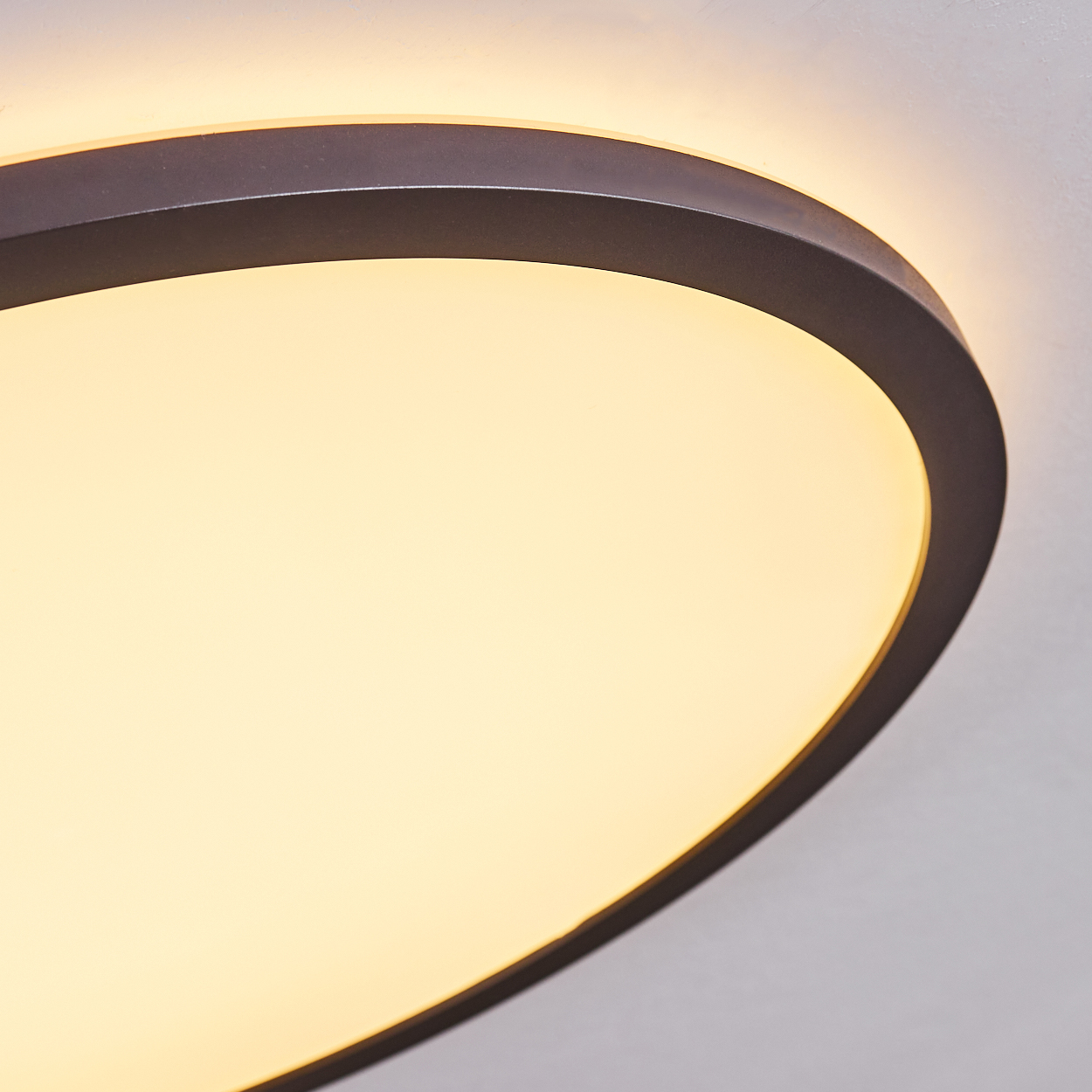 Eine helle, cremefarbene Lampe mit dunklem Rand an einer weißen Decke.