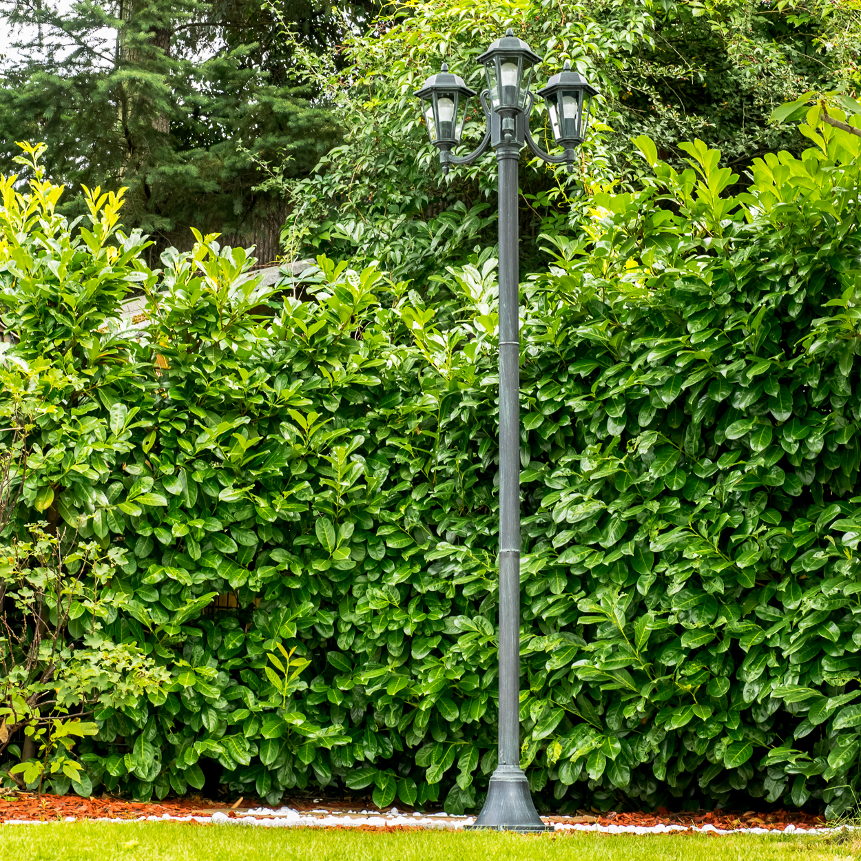 Ein Laternenpfahl steht vor einer dichten grünen Hecke mit Bäumen im Hintergrund.