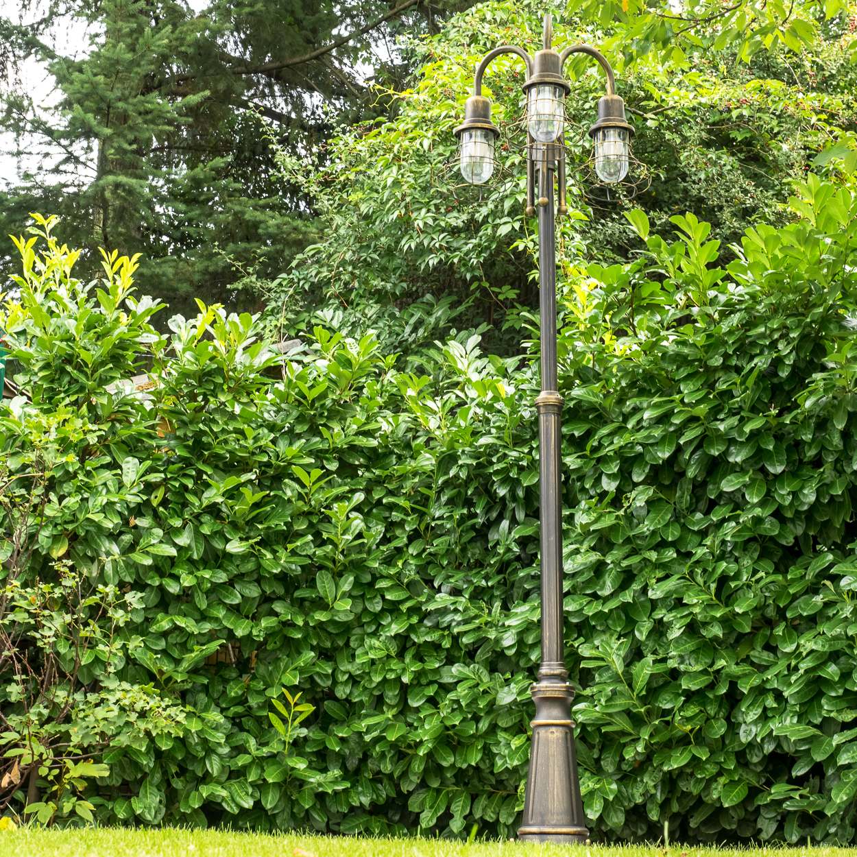 Ein Laternenpfahl mit drei Lichtern steht vor einer dichten grünen Hecke.
