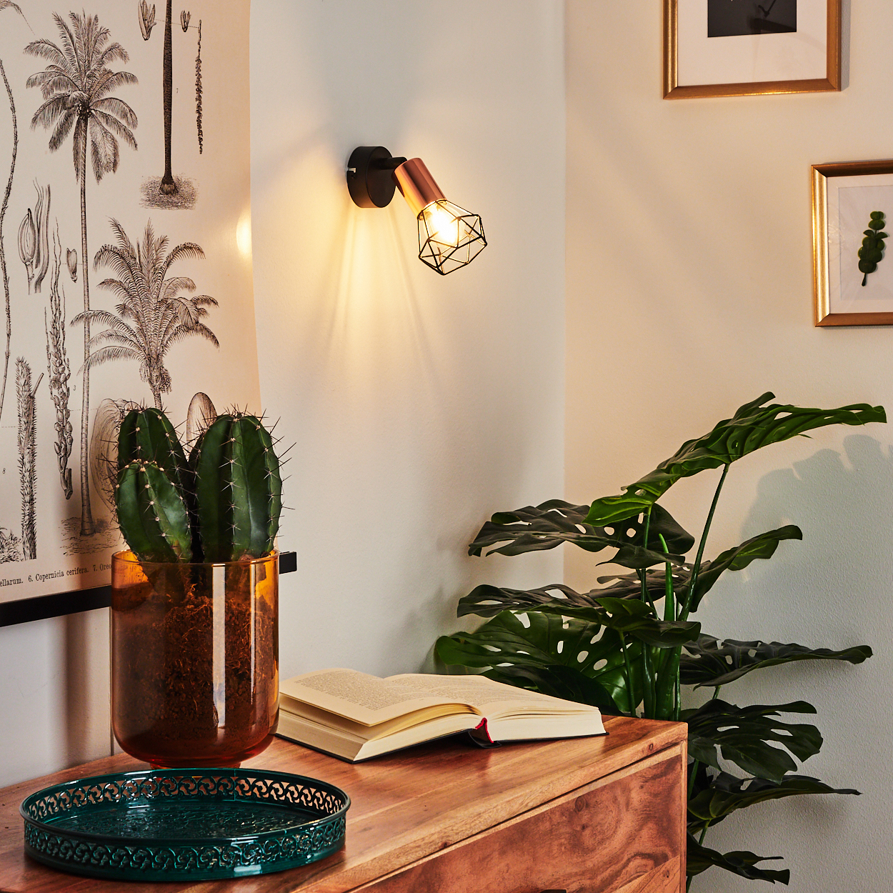 Eine Wandlampe mit Kupferdetail beleuchtet eine Ecke mit Pflanzen und einem Buch.