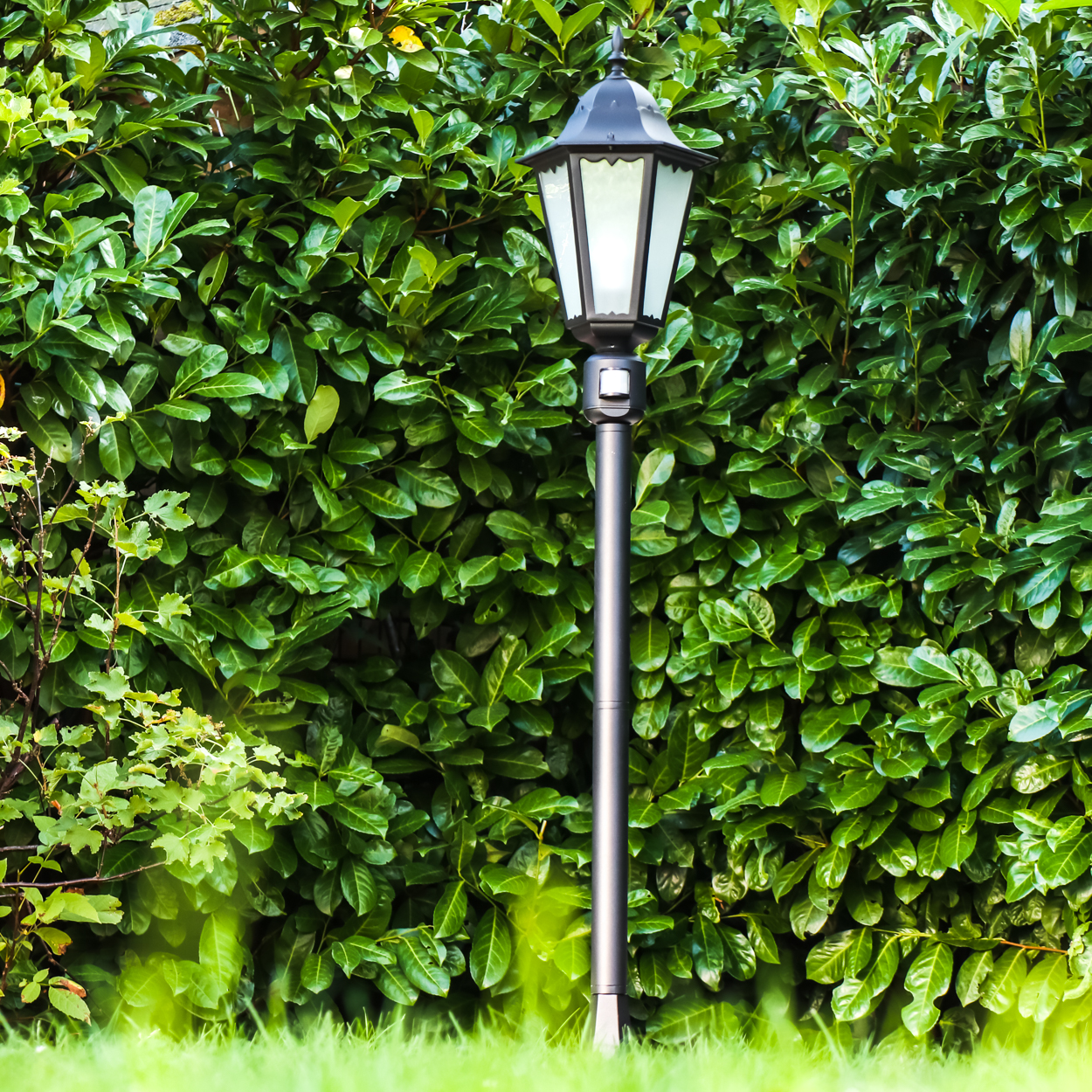 Ein schwarzer Laternenpfahl steht vor einer dichten grünen Hecke.