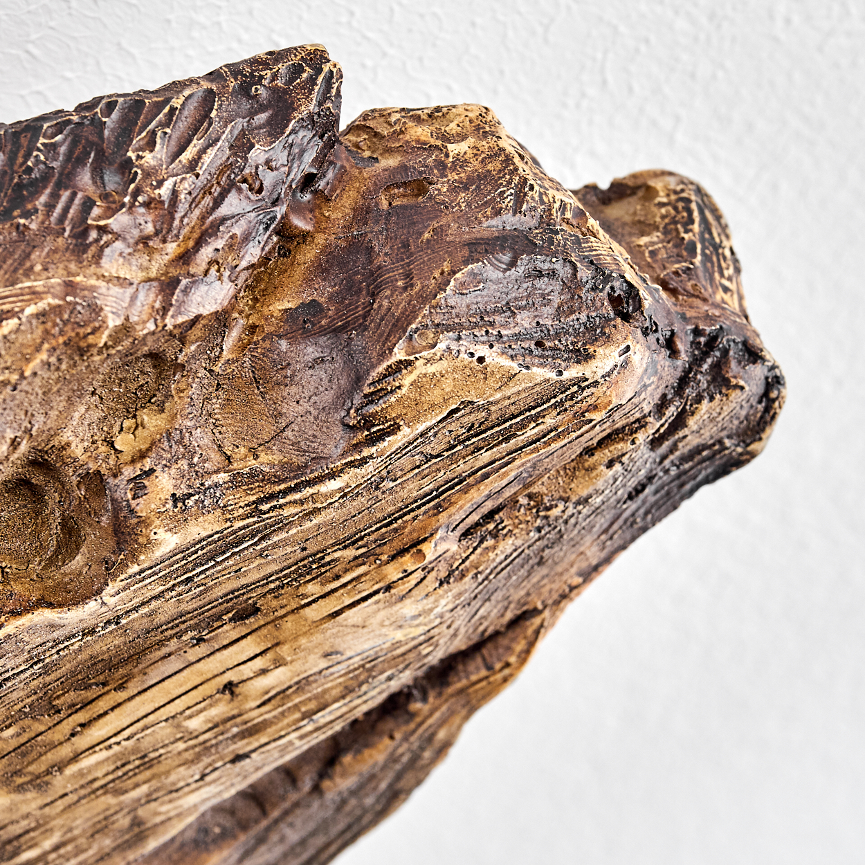 Ein detailliertes Makrofoto eines Stücks Holz mit rauer, dunkler und heller Textur.