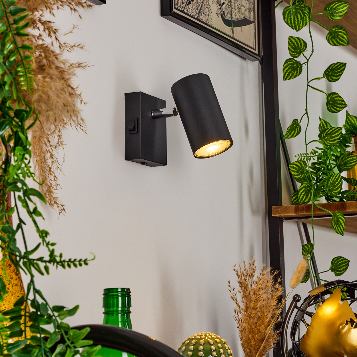 Ein schwarzer Wandstrahler leuchtet auf einer weißen Wand, umgeben von Pflanzen.