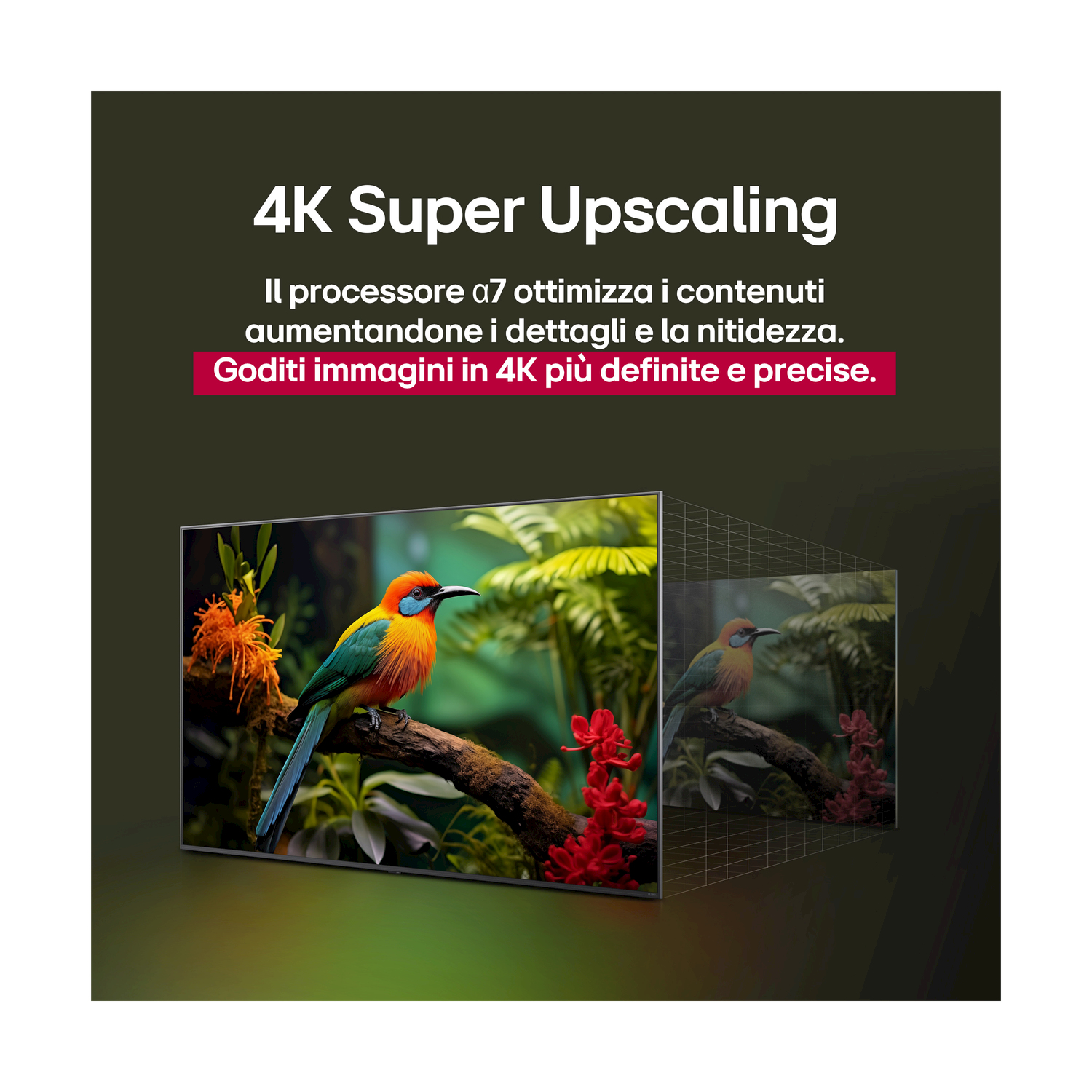 Un oiseau est perché sur une branche dans une végétation luxuriante. Texte sur le 4K Upscaling.