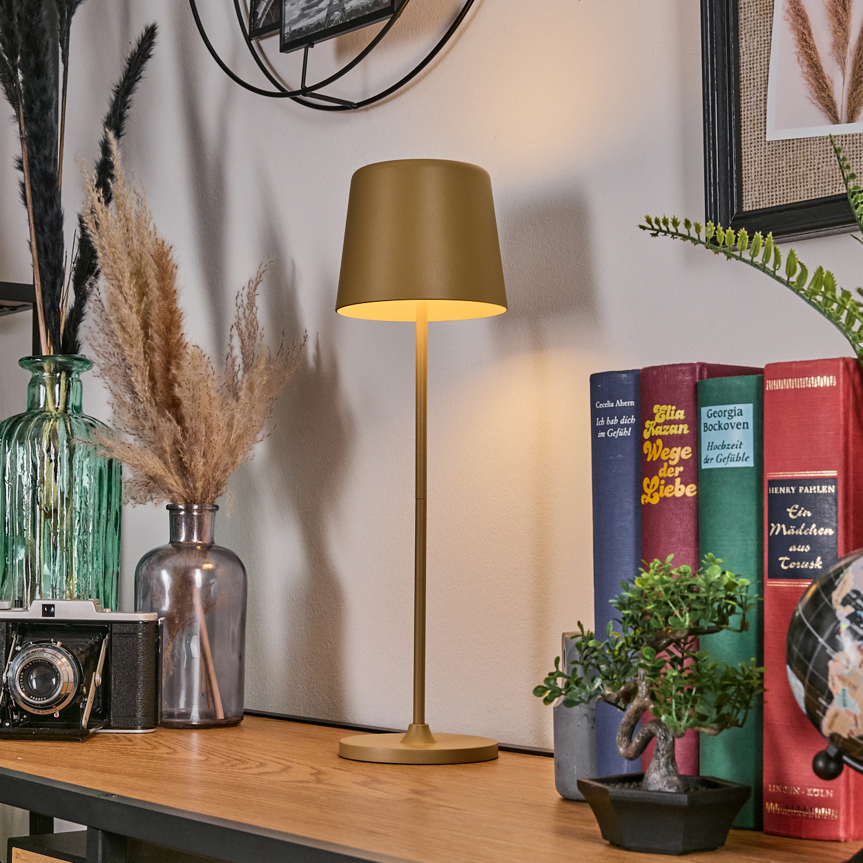 Ein Tisch mit Lampe, Büchern, Pflanzen und Kamera auf einem Holzregal.