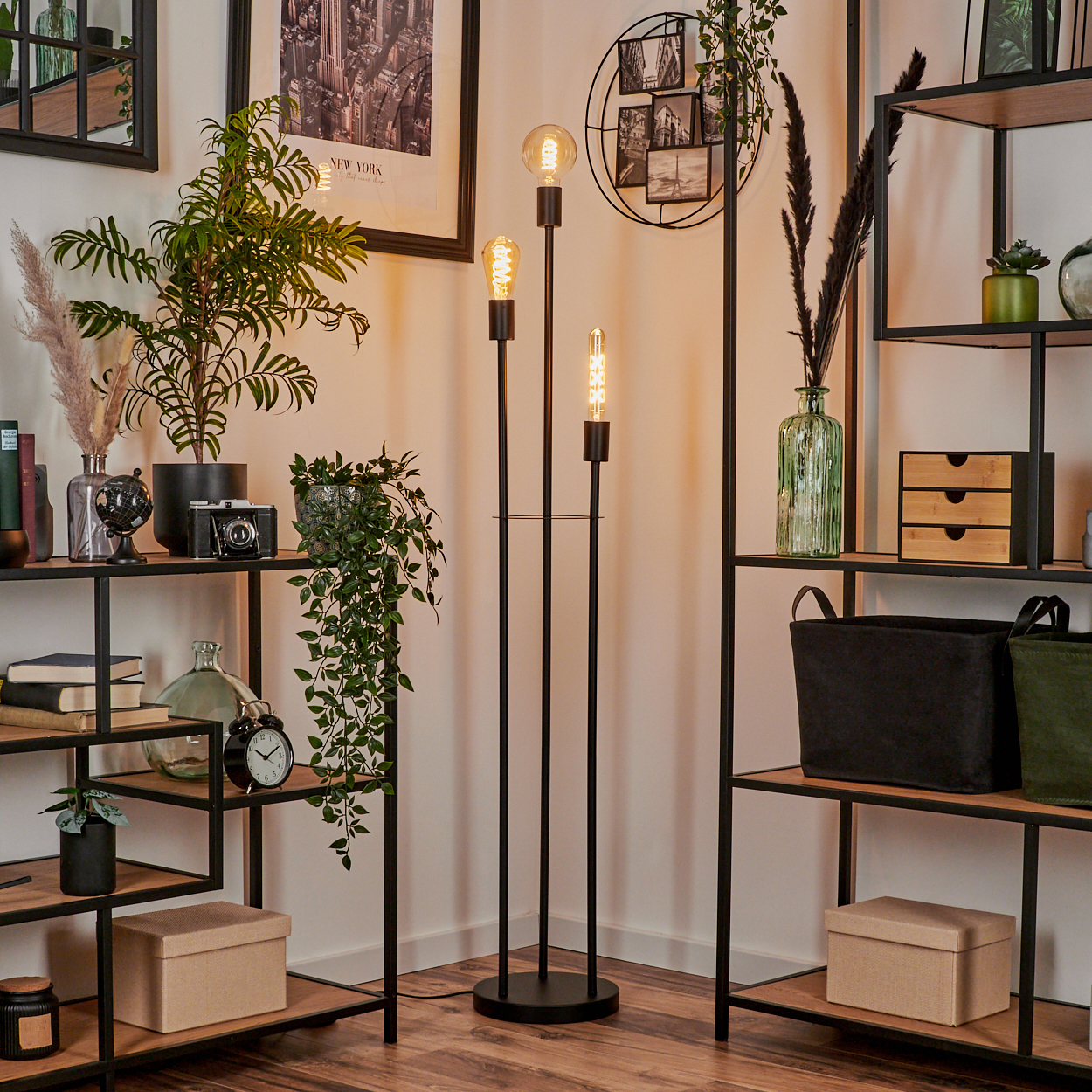 Ein Wohnzimmer mit einem Regal, Pflanzen und Stehlampen.