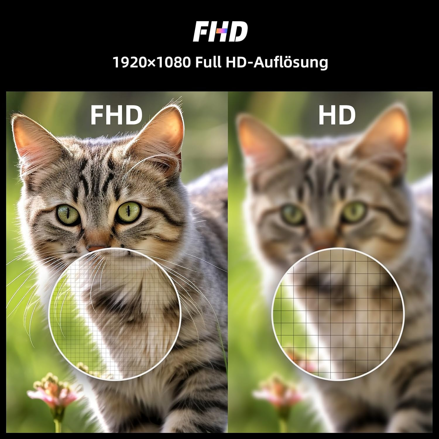 Porównanie dwóch zdjęć kotów: FHD ostra, HD rozmyta. Z siatką.