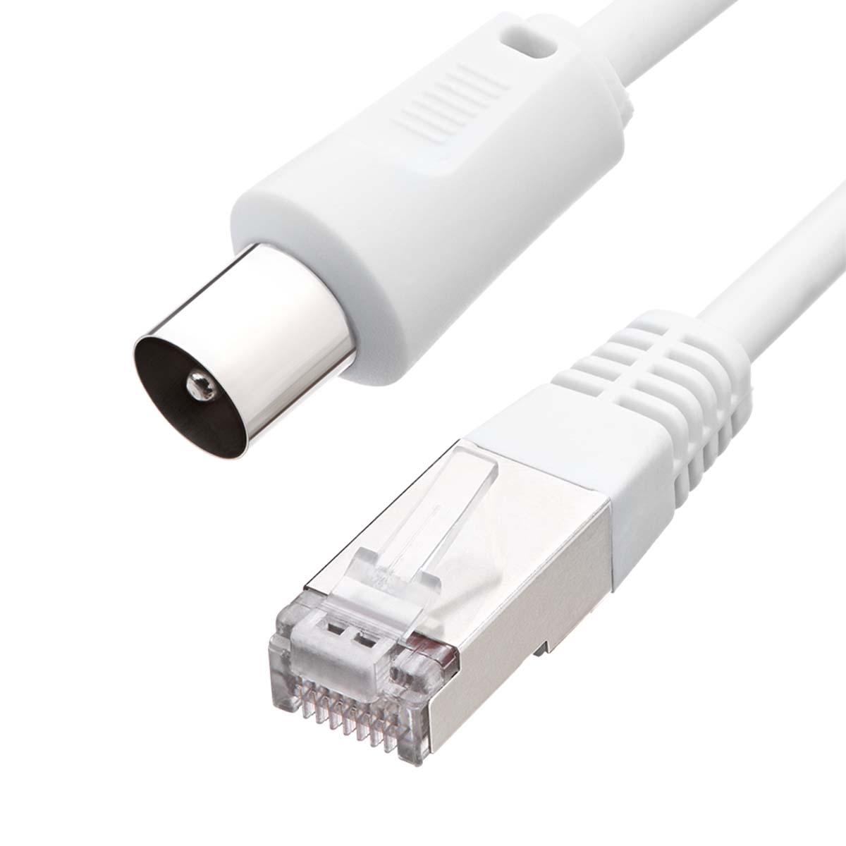 Cavo coassiale e cavo Ethernet bianchi con connettori su sfondo bianco.