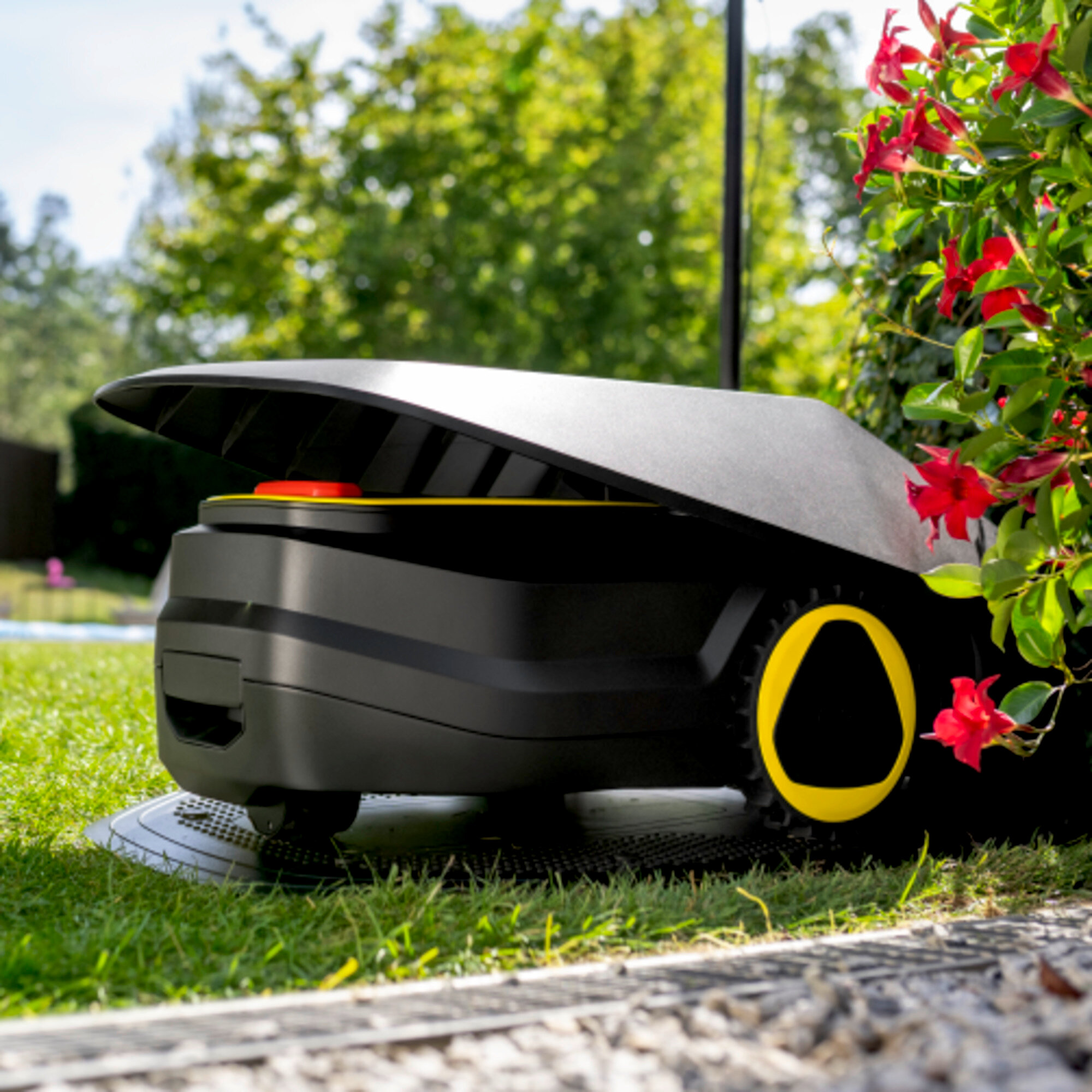 Ein schwarzer Mähroboter mit gelben Akzenten steht auf einem Rasen neben roten Blumen.
