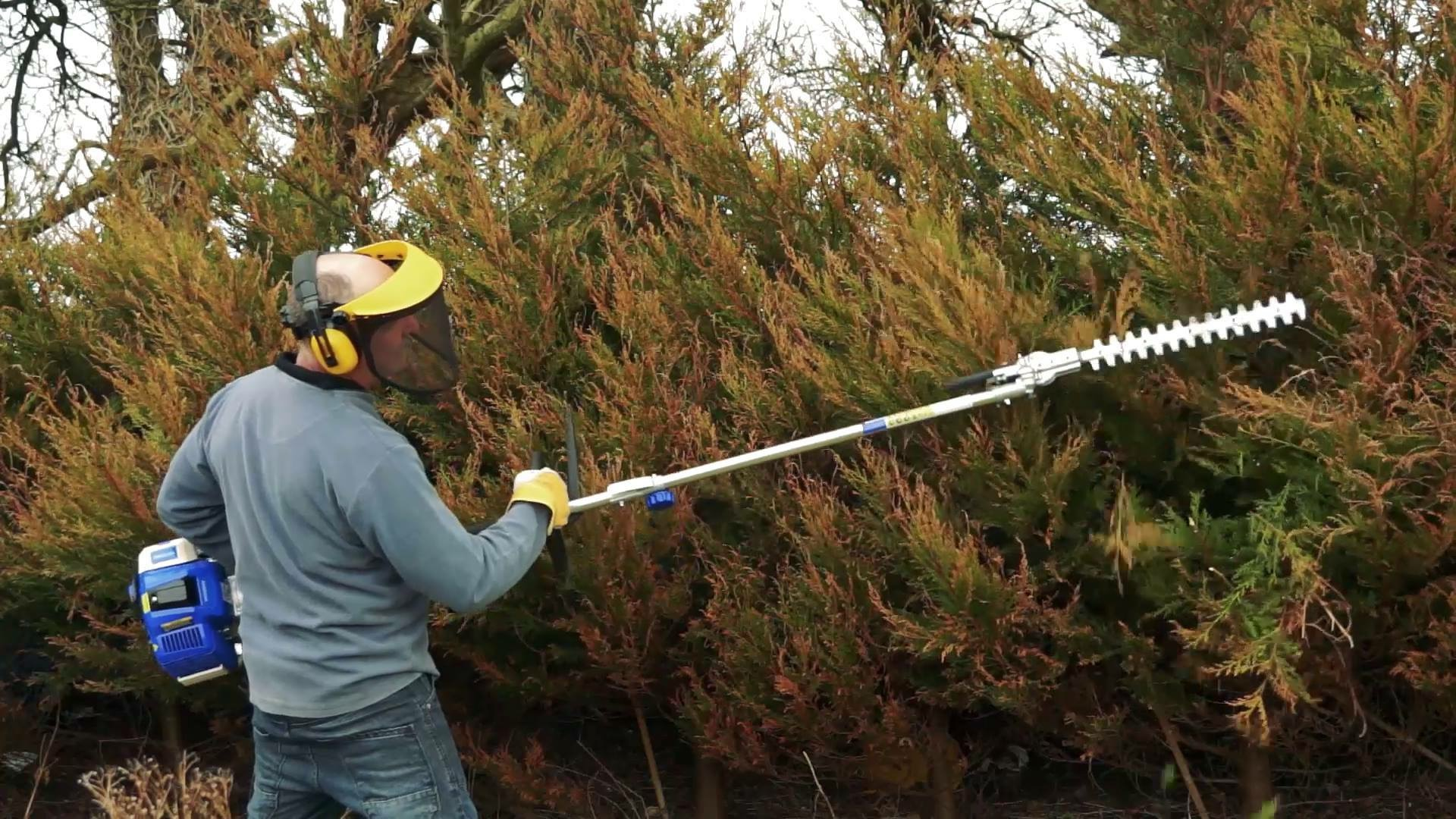 Hombre recorta seto con cortasetos de pértiga, lleva equipo protección.