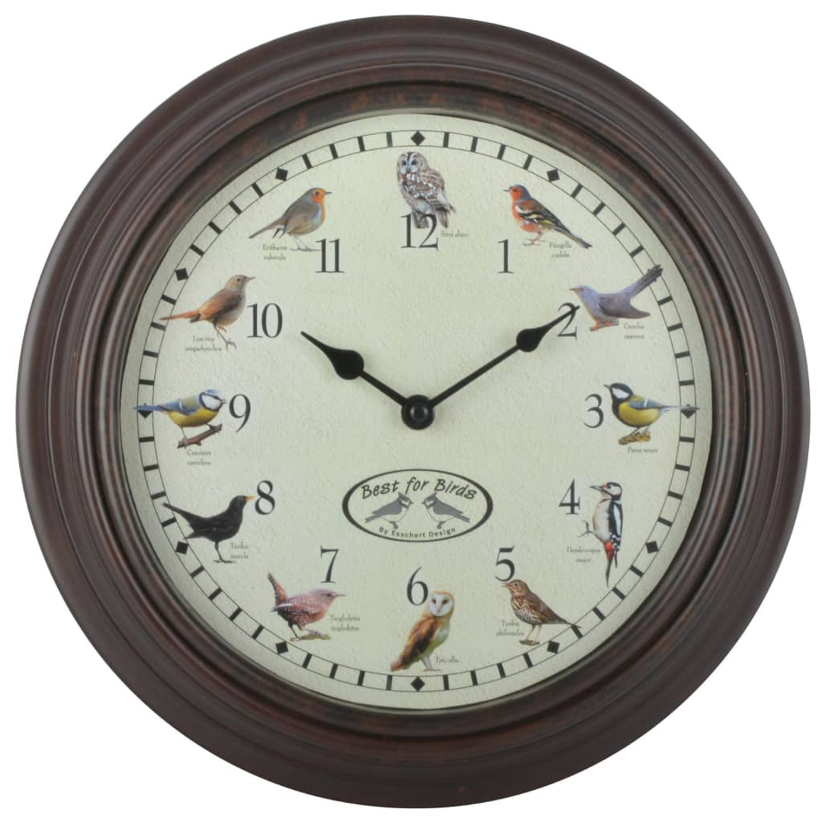 Eine braune Wanduhr mit Vögeln auf dem Zifferblatt und schwarzen Zeigern.