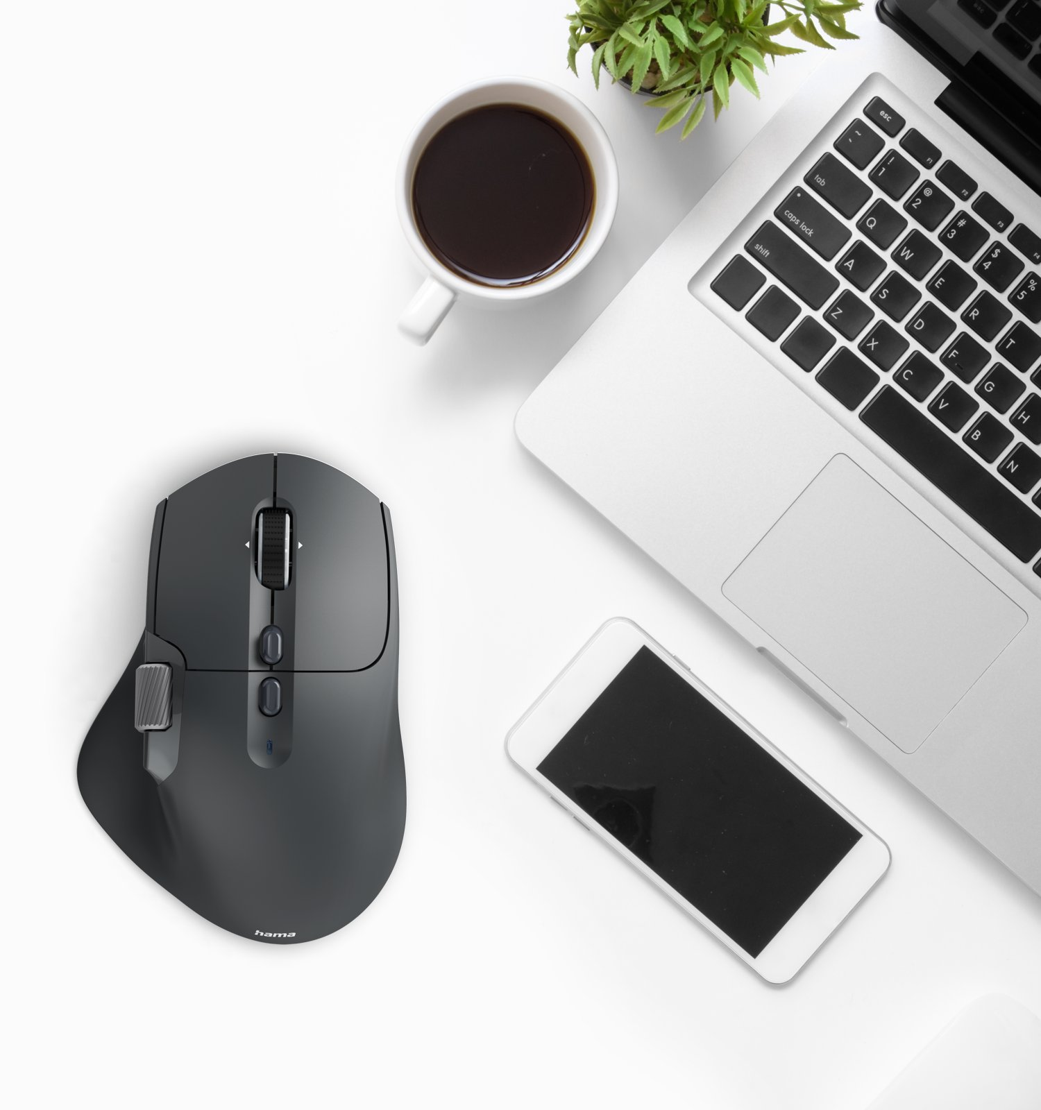 Mouse wireless, laptop, smartphone, tazza di caffè e pianta su una scrivania bianca.