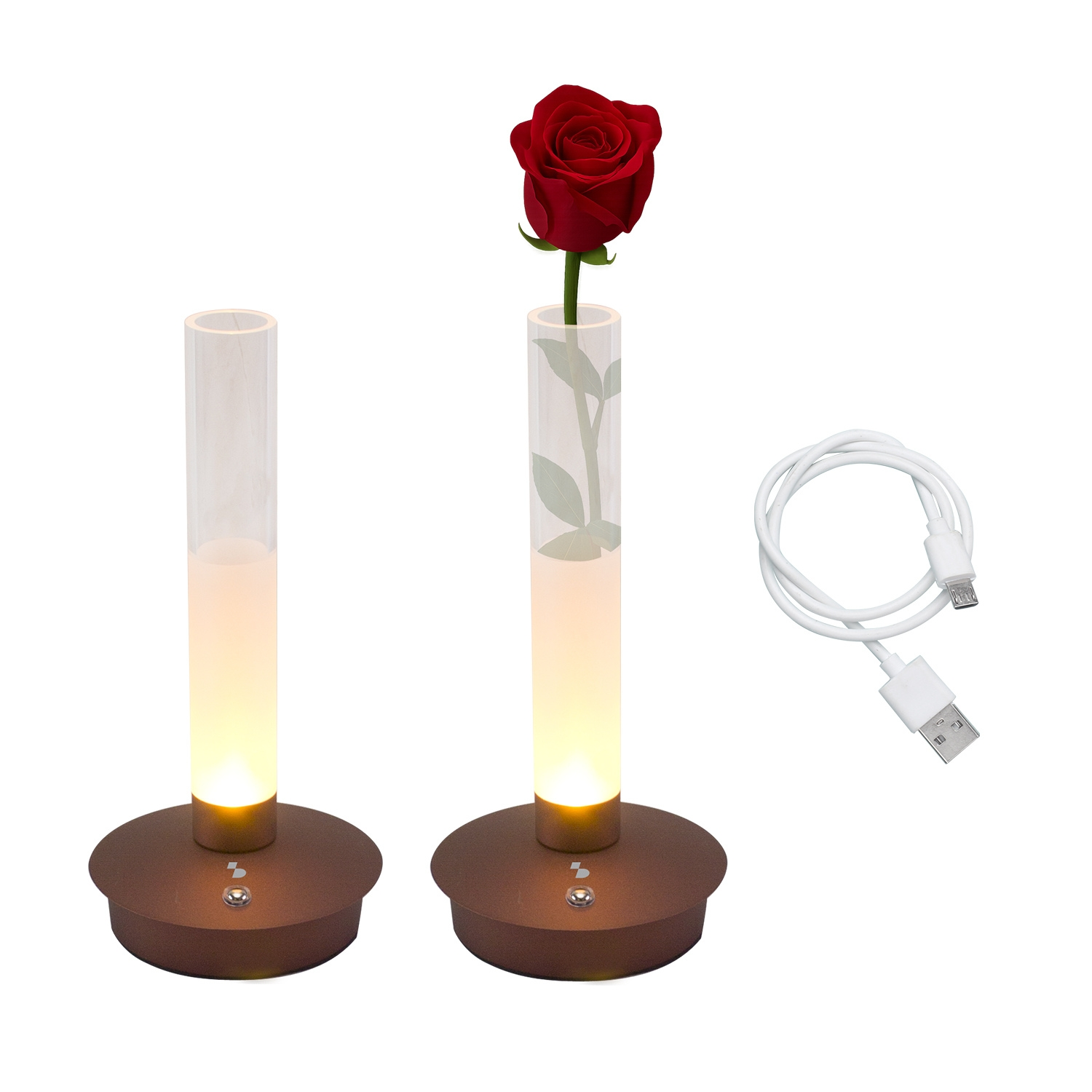 Due vasi illuminati con una rosa rossa e un cavo USB.