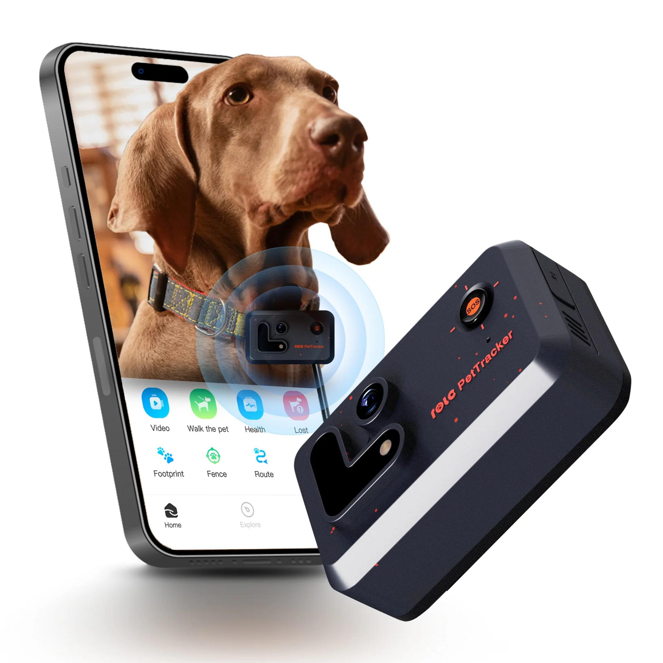 Un cane sullo schermo di un telefono accanto a un localizzatore GPS nero.