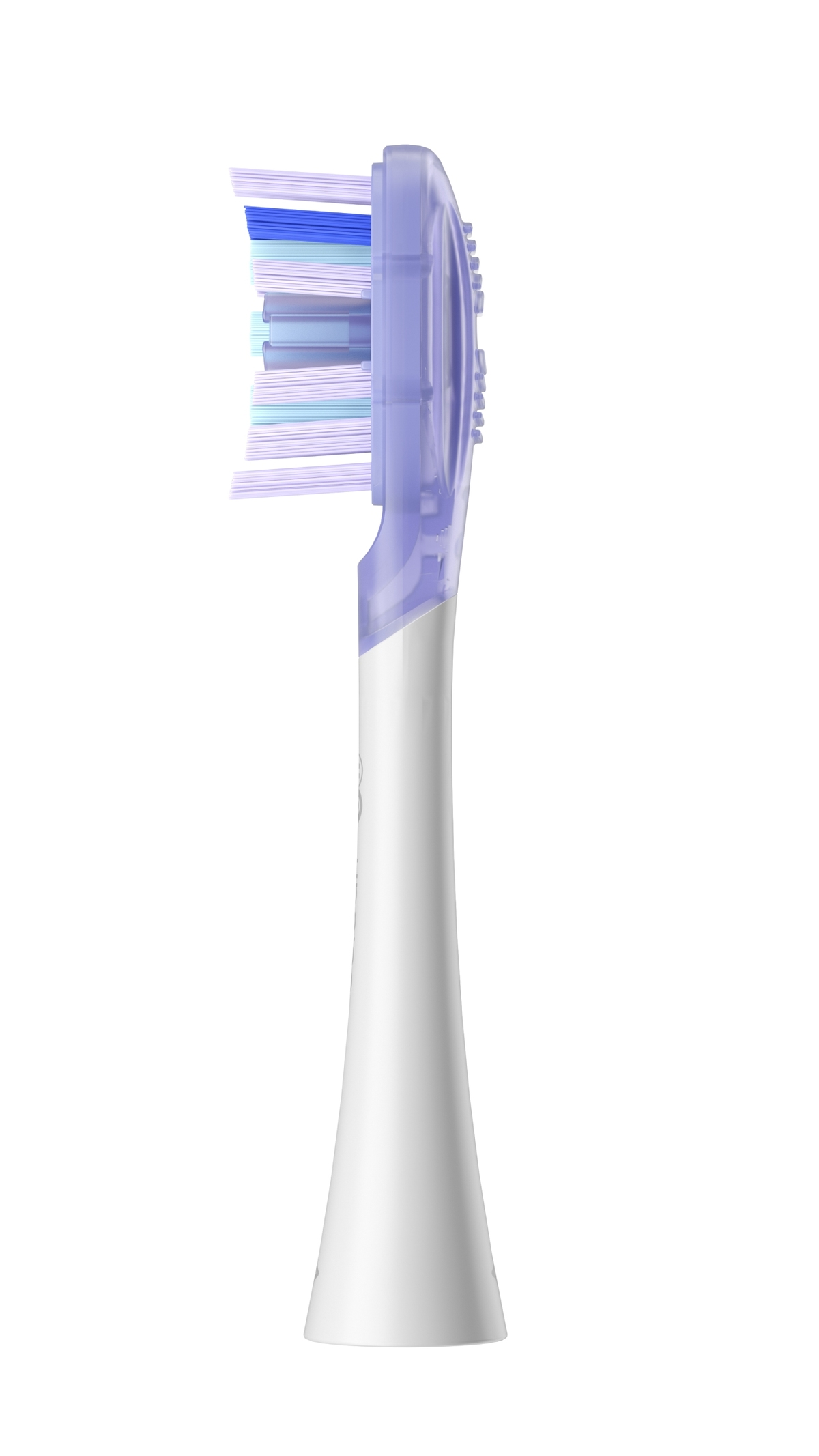 Una testina di spazzolino bianca con setole viola e blu.