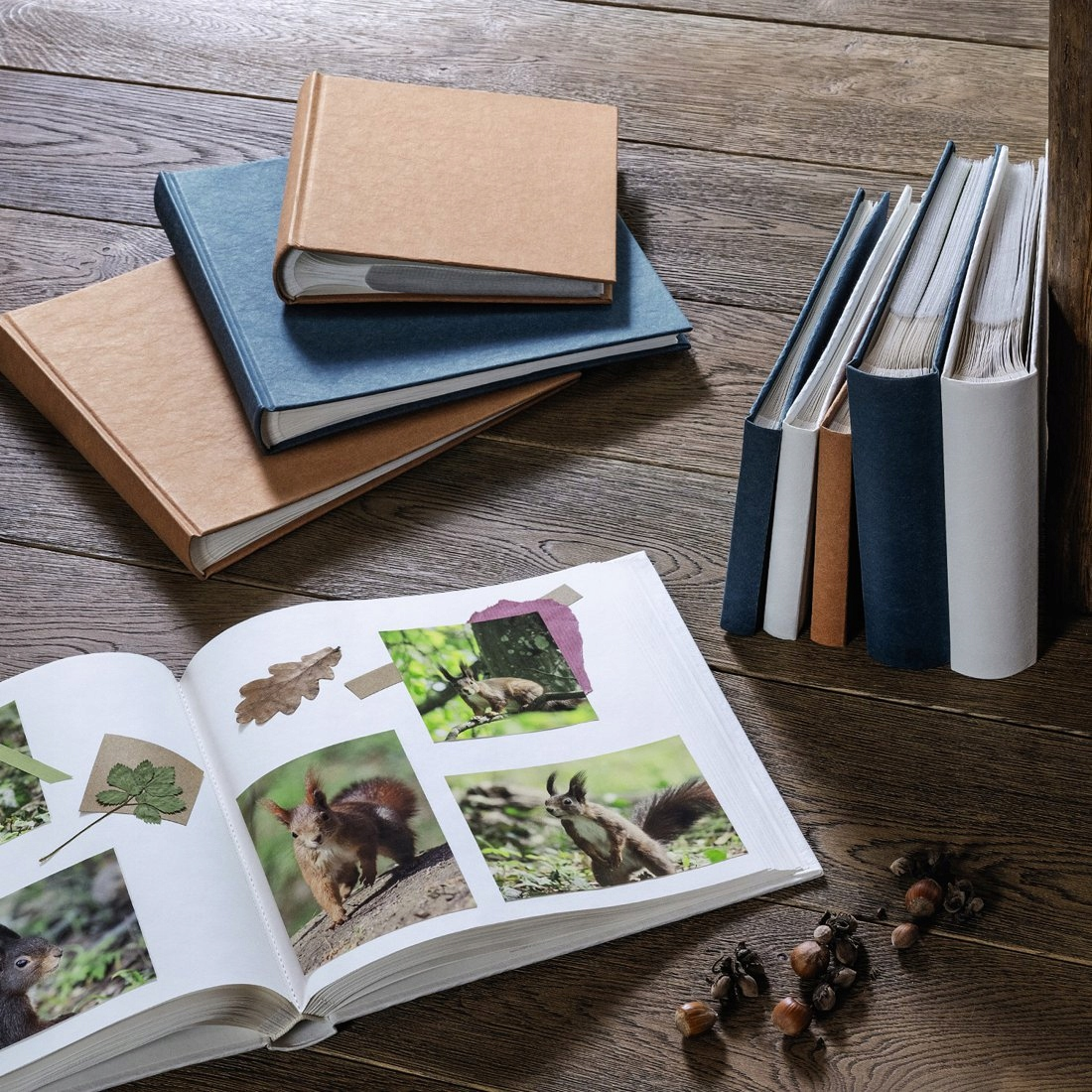 Otwarty album ze zdjęciami wiewiórek leży na drewnianym stole.