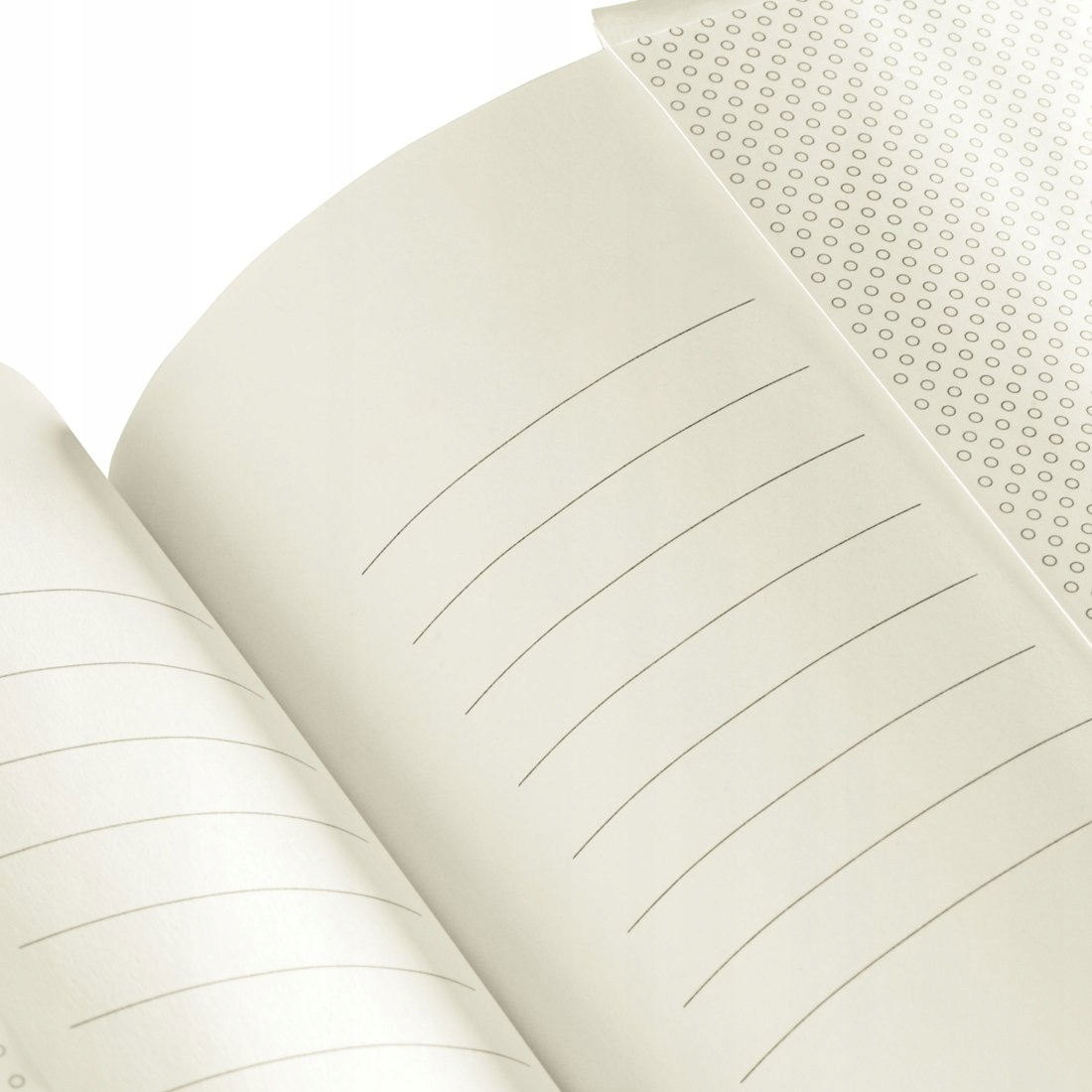 Otwarty notatnik z papierem w linie i wzorem małych kółek przy górnej krawędzi.