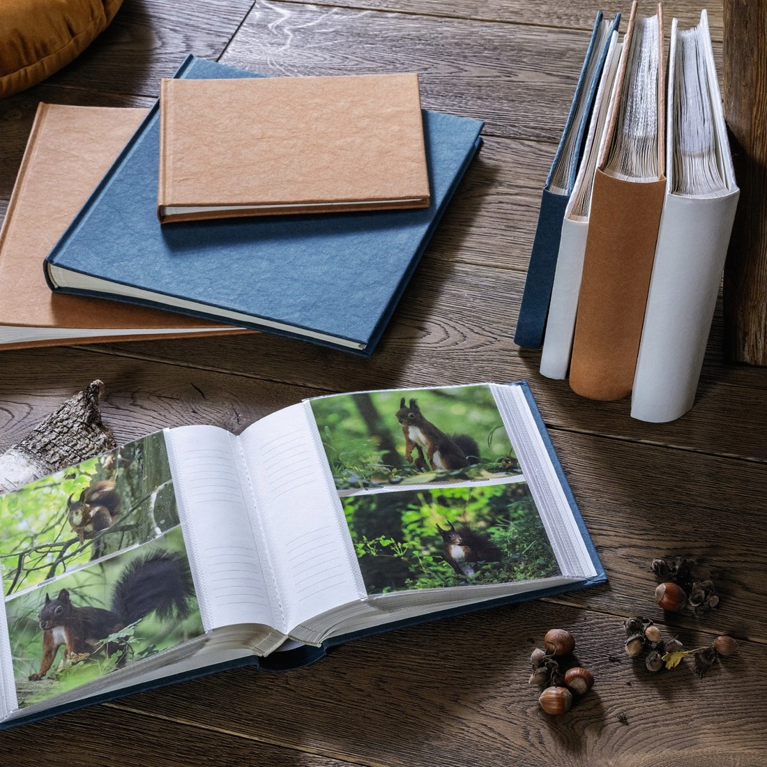Otwarty album na zdjęcia ze zdjęciami wiewiórek, obok książek i orzechów.