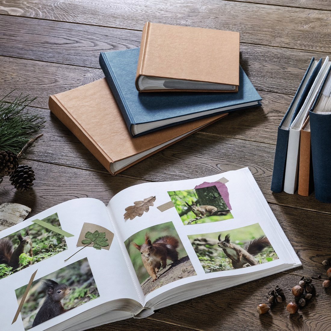 Otwarty album na zdjęcia ze zdjęciami wiewiórek i książkami na drewnie.