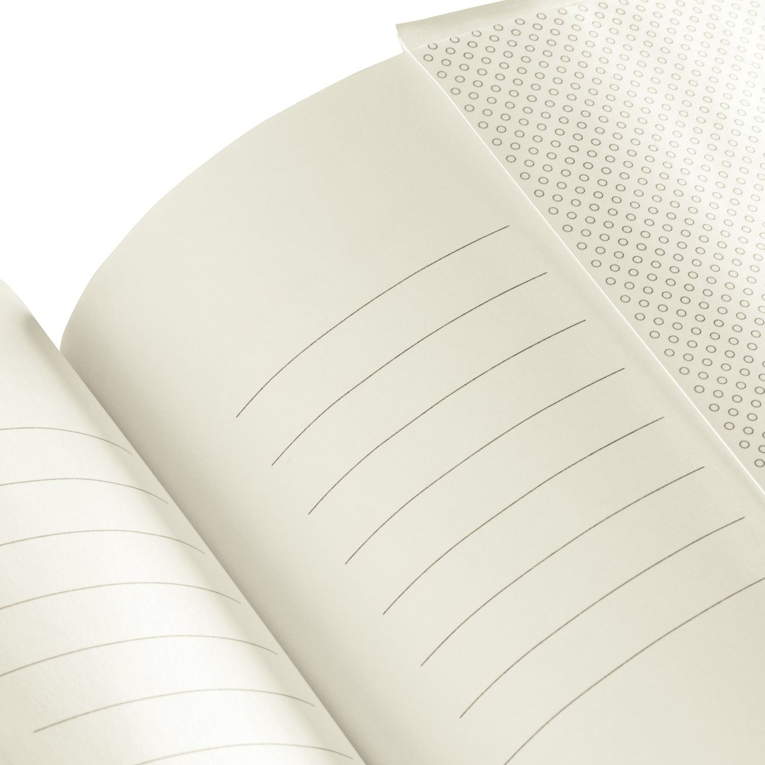 Otwarty notatnik w linie z wzorem kółek.