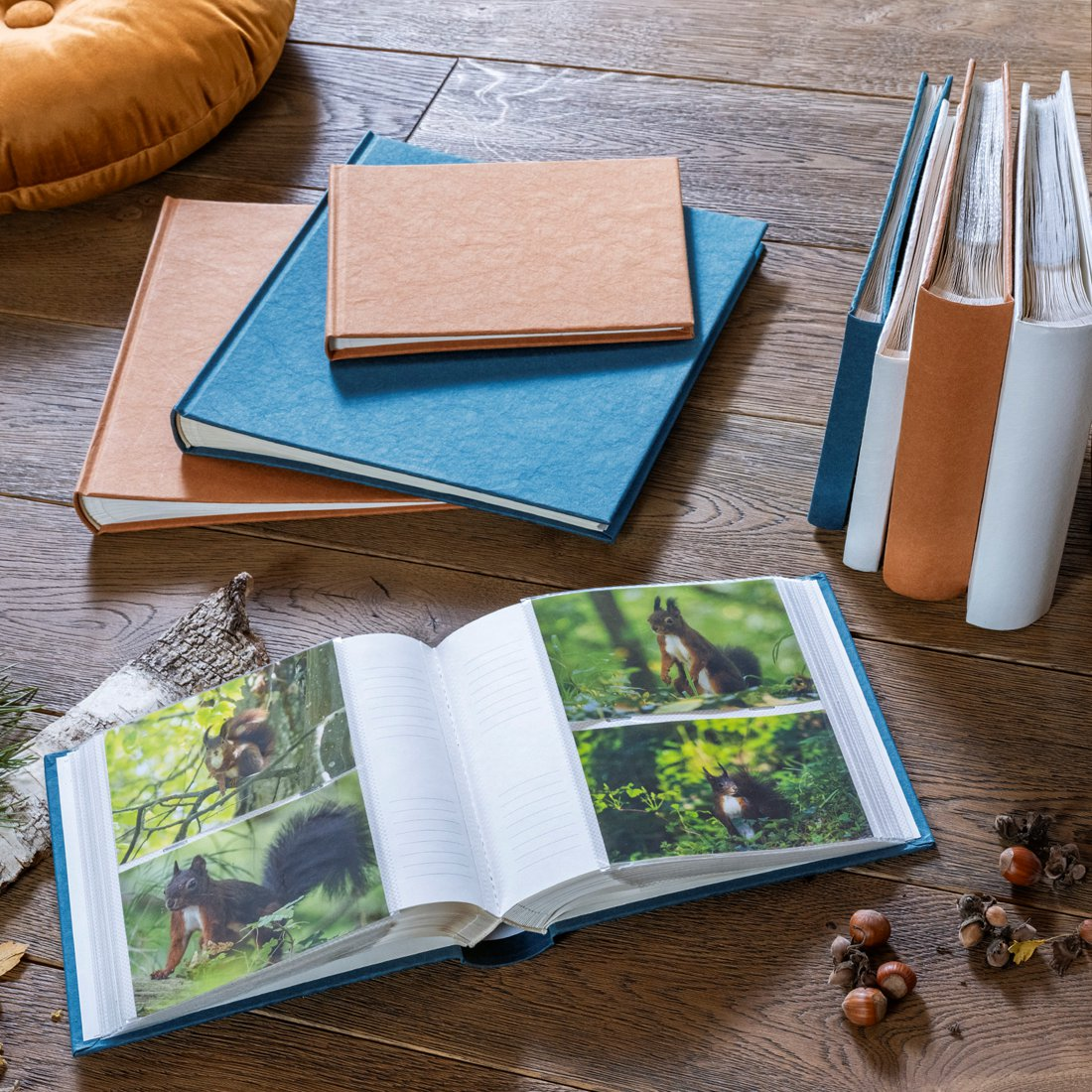 Otwarty album ze zdjęciami wiewiórek, obok książki i poduszka.