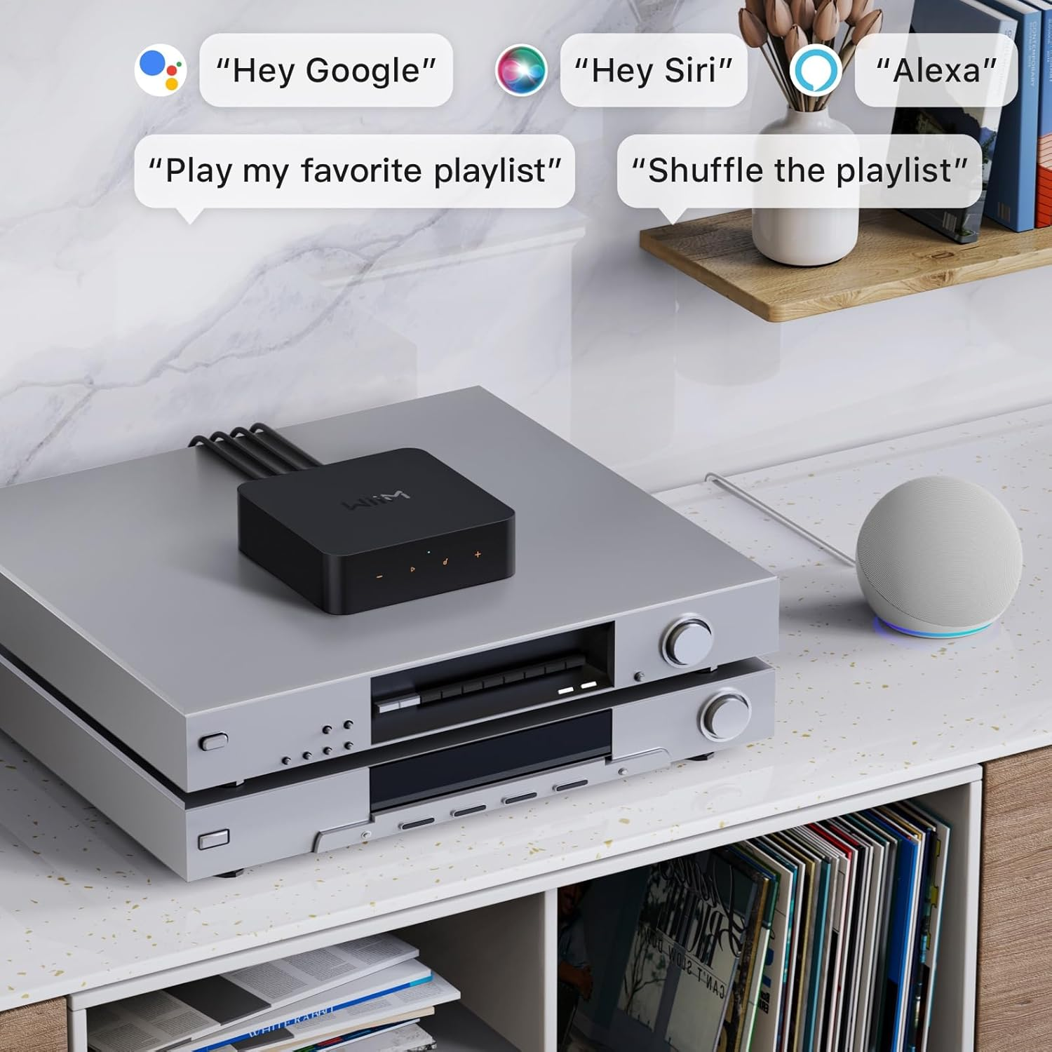 Ein schwarzer Streaming-Adapter sitzt auf zwei silbernen Audiogeräten, daneben ein Echo Dot.