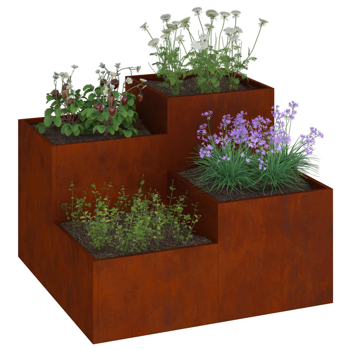 Fioriere sfalsate arrugginite con fragole, fiori viola e bianchi.