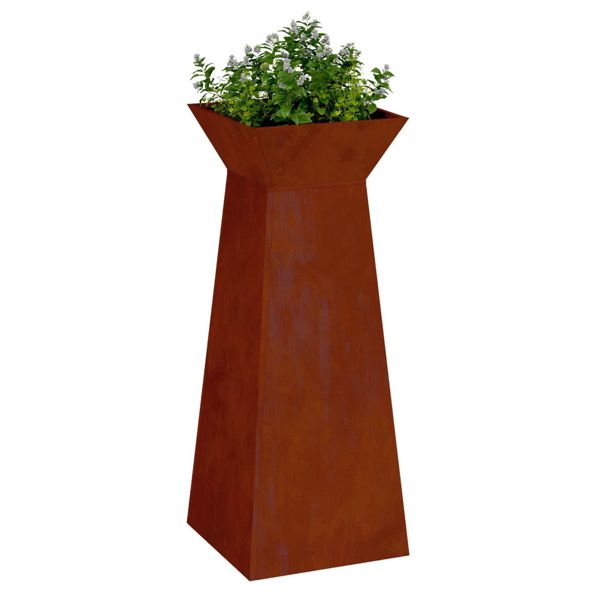 Fioriera arrugginita con piante verdi e piccoli fiori bianchi.