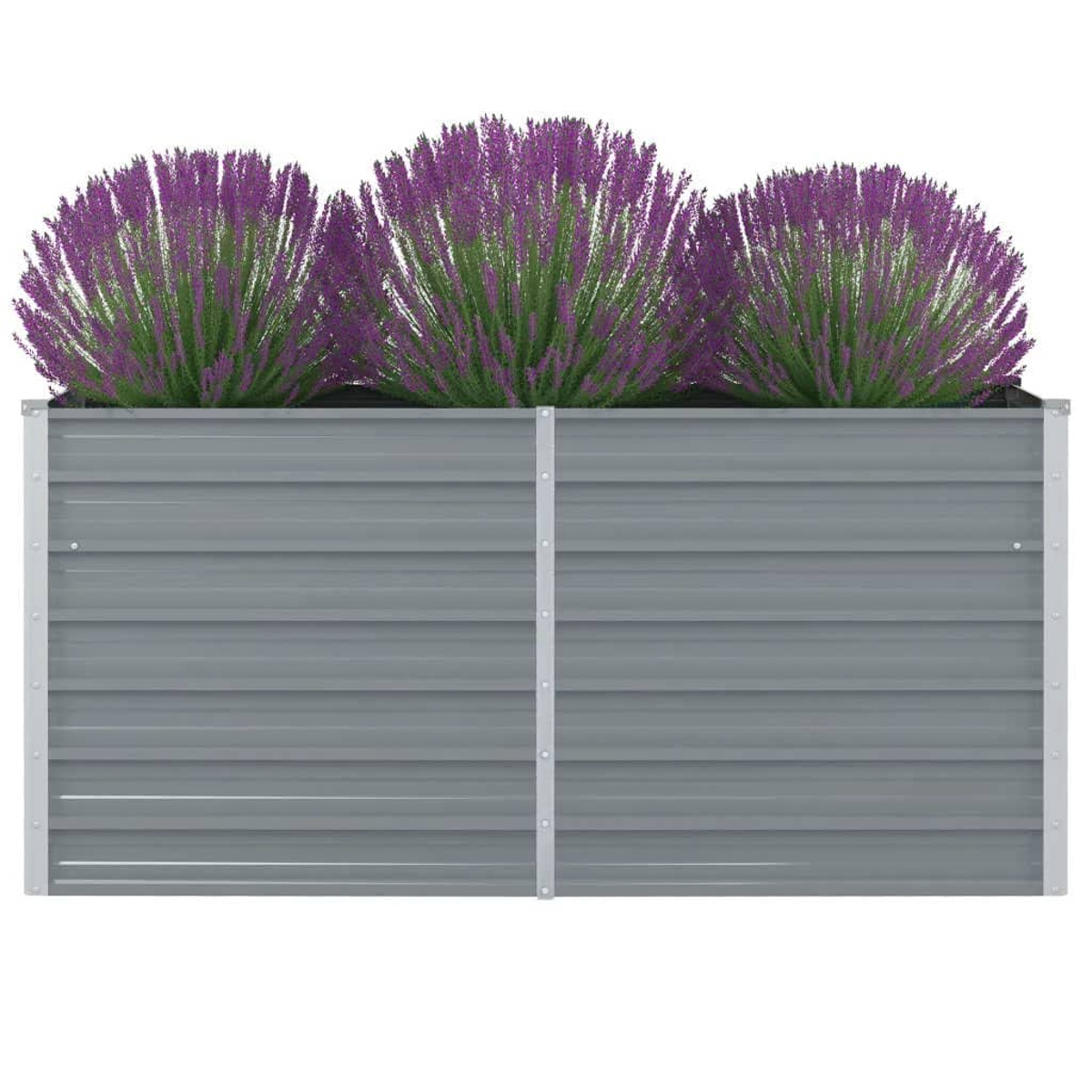 Grauer Hochbeet mit drei Büscheln lila Lavendel.