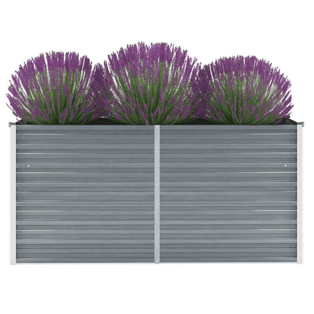 Graues Hochbeet mit drei Büscheln lila Lavendel