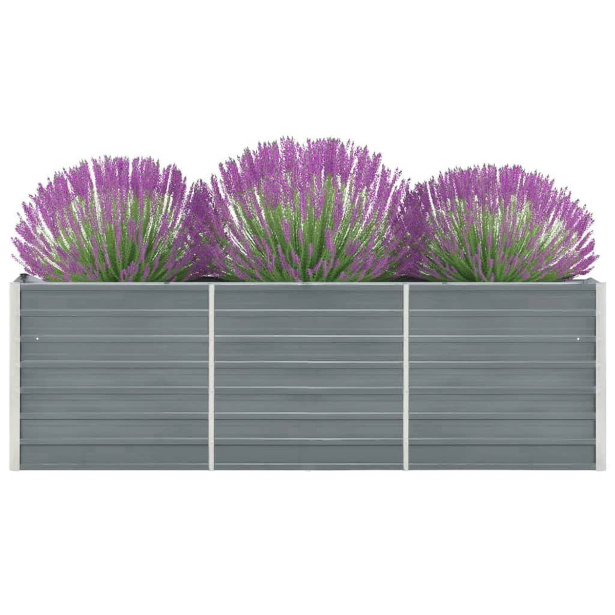Grauer Hochbeet mit drei Büscheln lila Lavendel, weißer Hintergrund.
