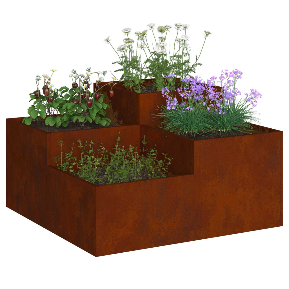 Rostige Metall-Hochbeete mit verschiedenen Pflanzen wie Erdbeeren und Blumen.