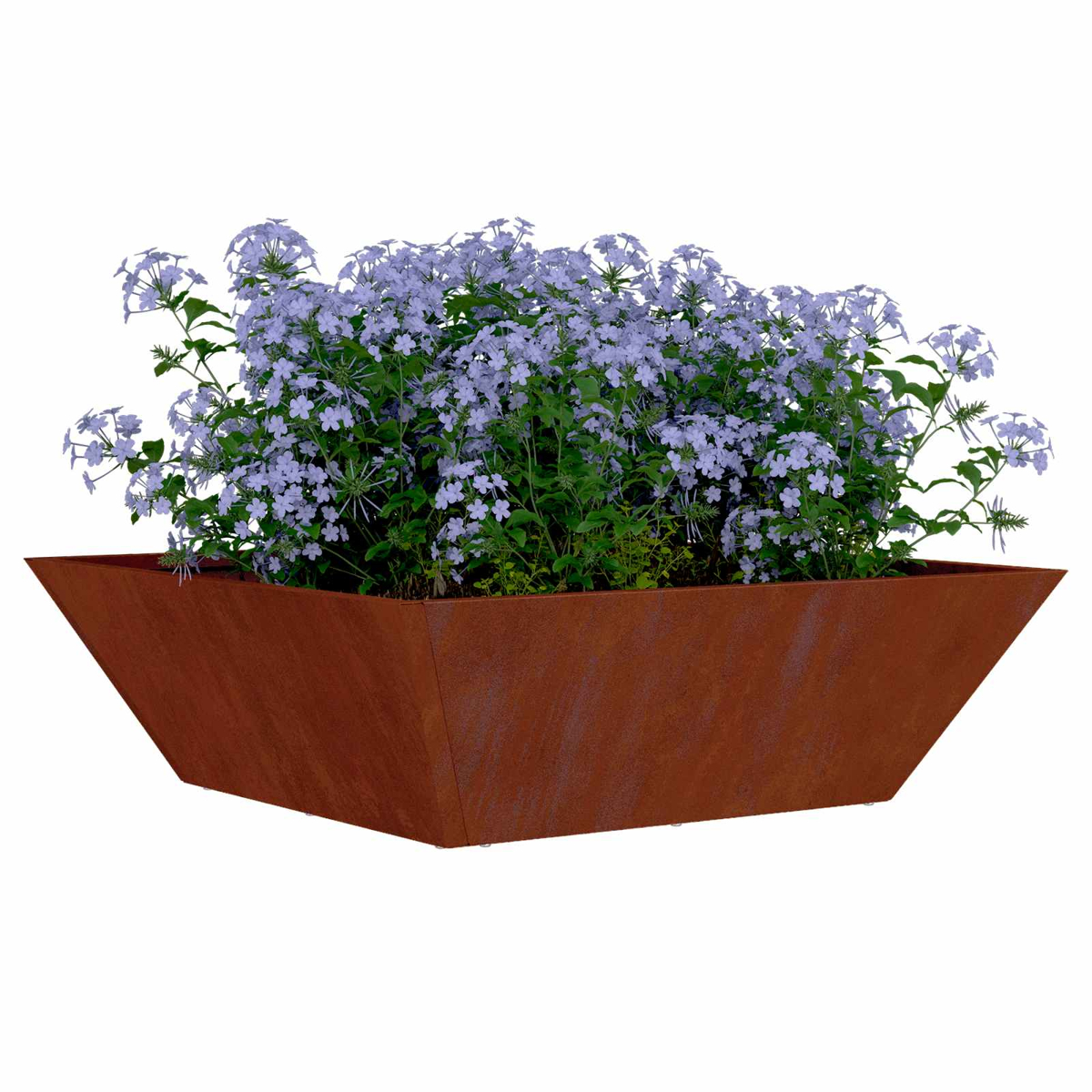 Fioriera rettangolare arrugginita piena di fiori azzurri.
