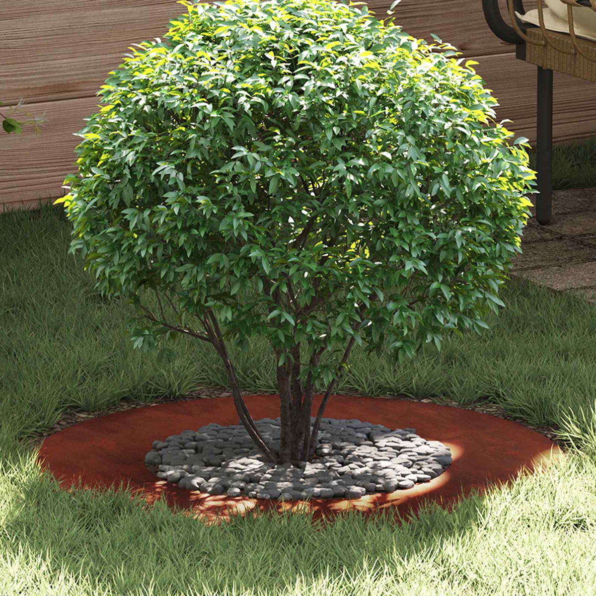 Un albero sferico con foglie verdi su una base di ghiaia.
