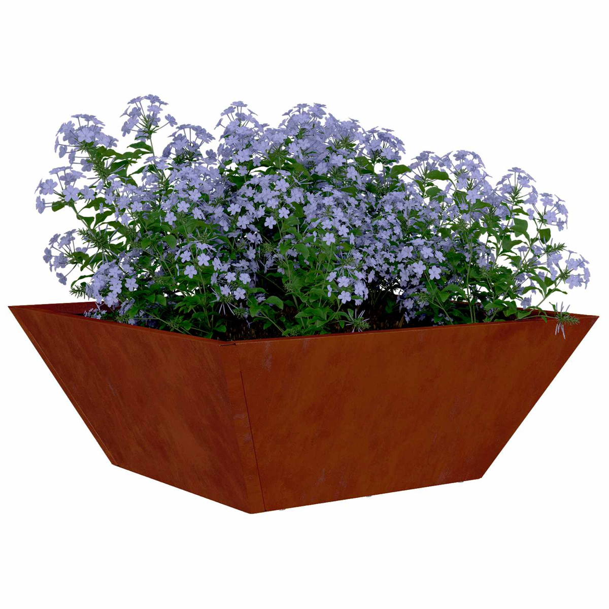 Una fioriera in metallo color ruggine con fiori azzurri e foglie verdi.