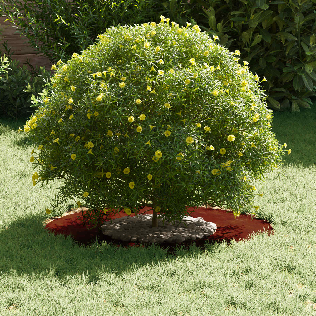 Un albero cespuglioso con fiori gialli si erge su un prato.