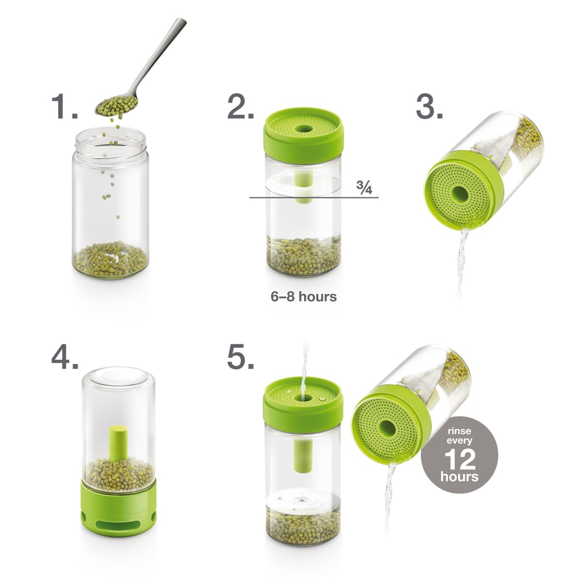 Schritt-für-Schritt-Anleitung zum Keimen von Samen in einem Glas mit grünem Deckel.
