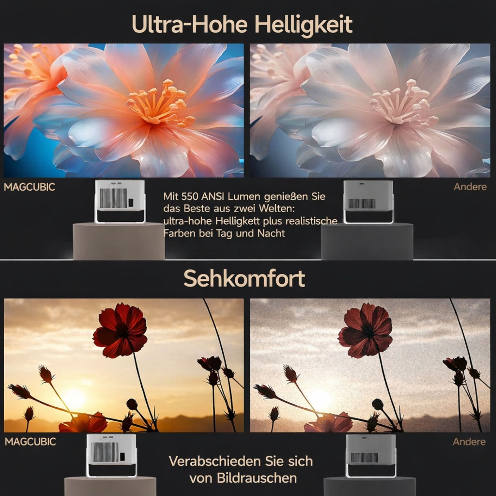Vergleich von zwei Projektoren: Blumen und Sonnenuntergang mit Blumen.